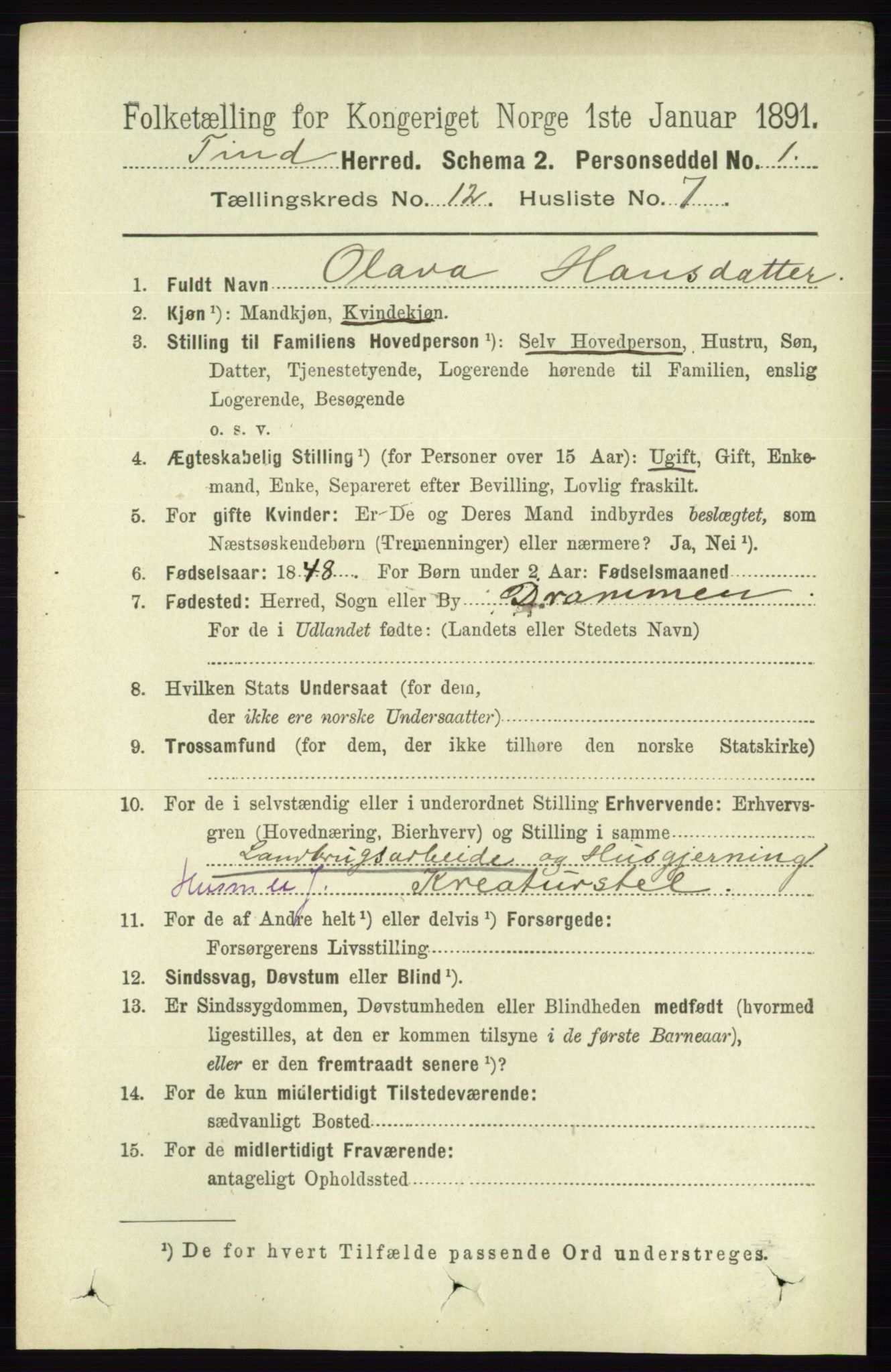 RA, 1891 census for 0826 Tinn, 1891, p. 2356