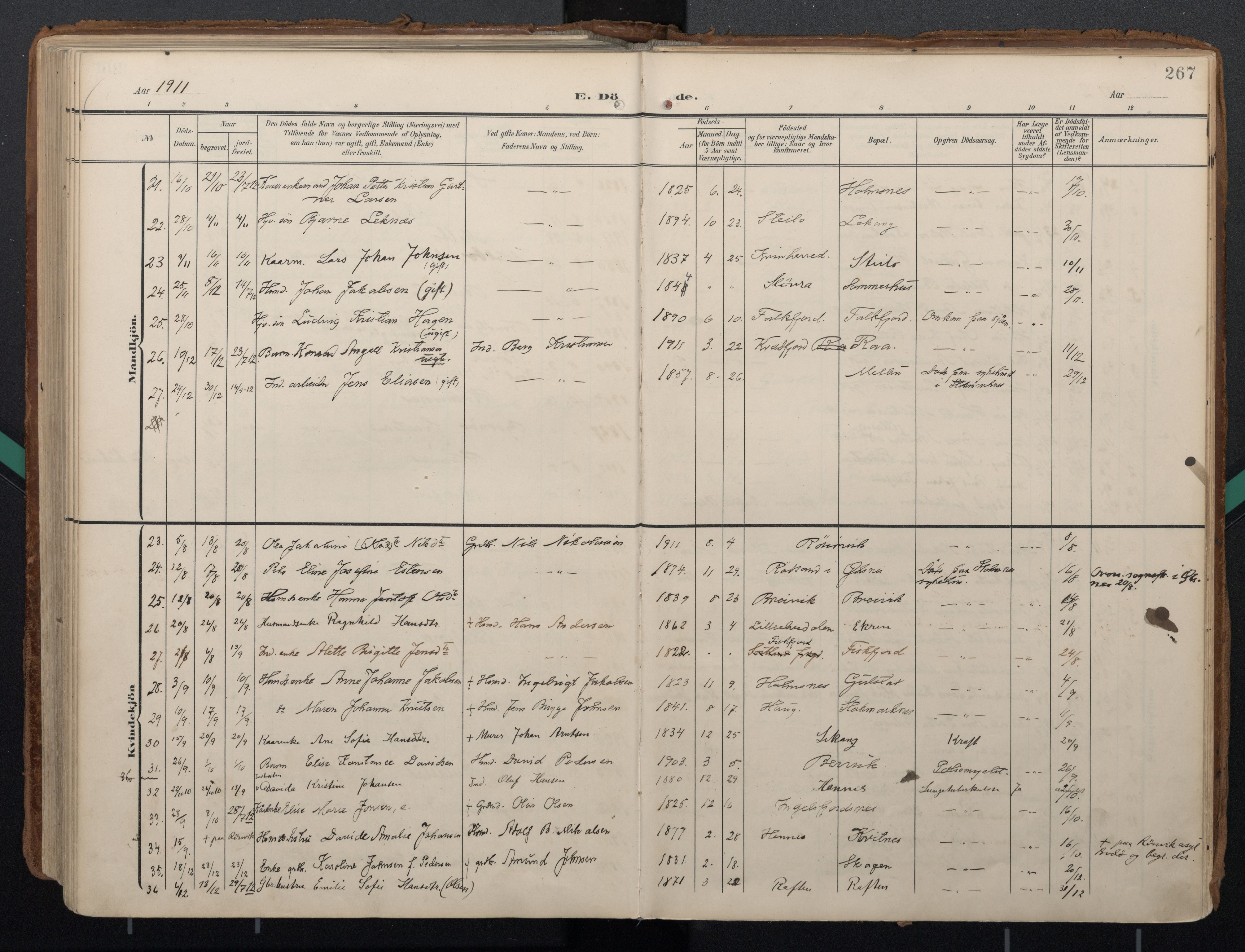 Ministerialprotokoller, klokkerbøker og fødselsregistre - Nordland, AV/SAT-A-1459/888/L1248: Parish register (official) no. 888A14, 1904-1913, p. 267