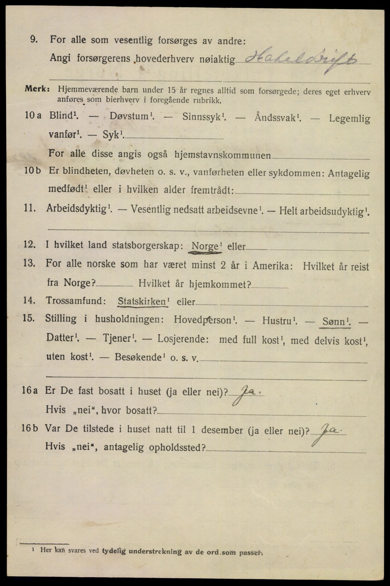 SAKO, 1920 census for Kragerø, 1920, p. 4972