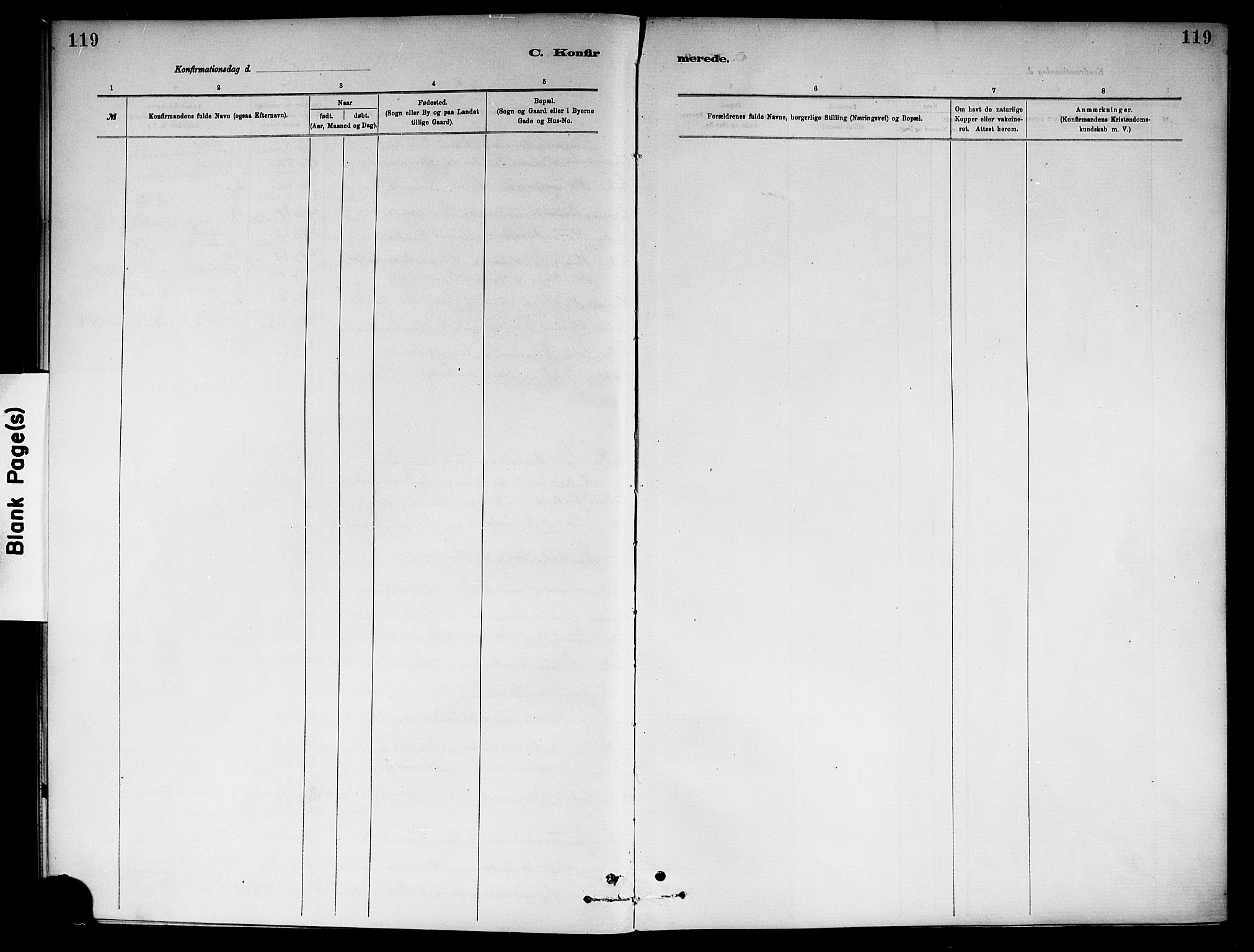 Ål kirkebøker, SAKO/A-249/F/Fa/L0008: Parish register (official) no. I 8, 1882-1896, p. 119