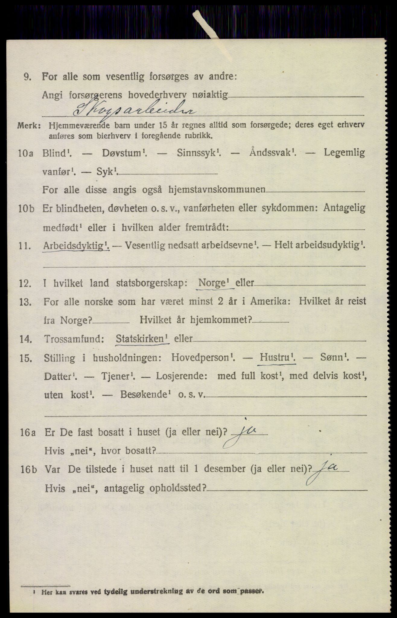 SAH, 1920 census for Tynset, 1920, p. 6497