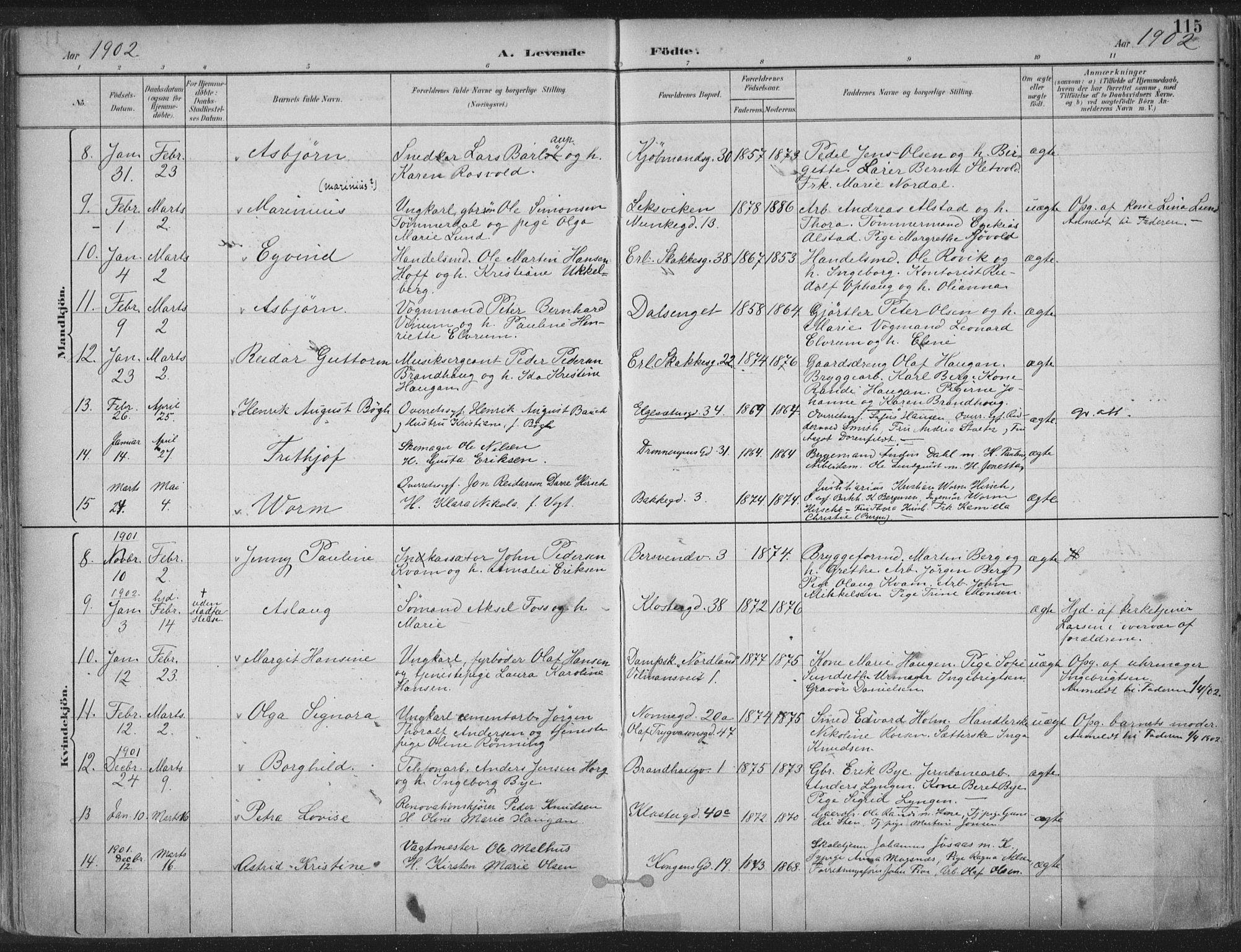 Ministerialprotokoller, klokkerbøker og fødselsregistre - Sør-Trøndelag, SAT/A-1456/601/L0062: Parish register (official) no. 601A30, 1891-1911, p. 115