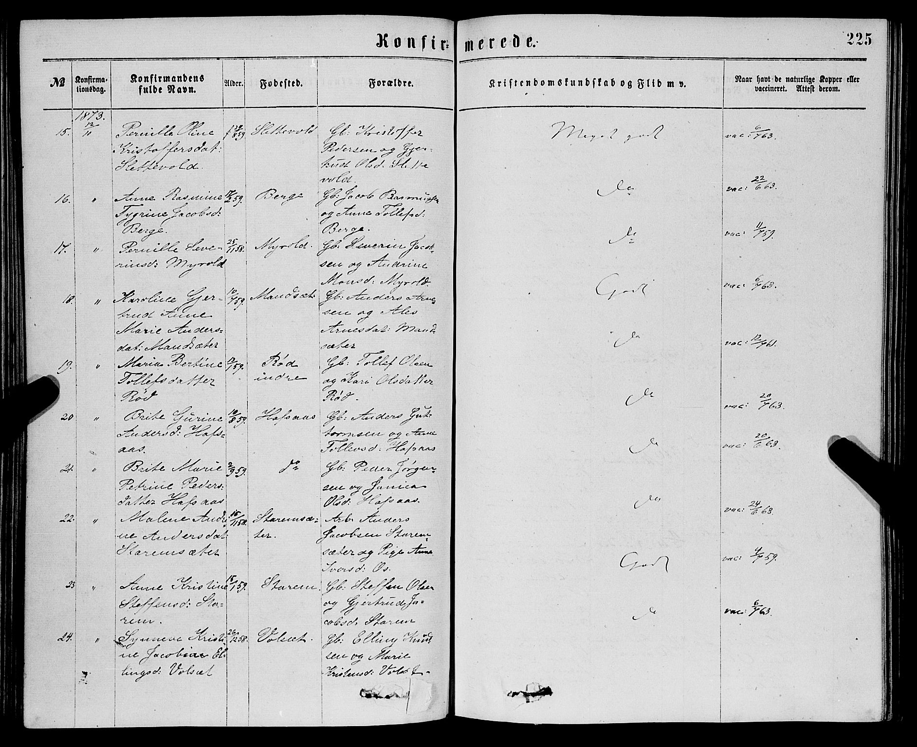 Eid sokneprestembete, AV/SAB-A-82301/H/Haa/Haaa/L0010: Parish register (official) no. A 10, 1867-1878, p. 225