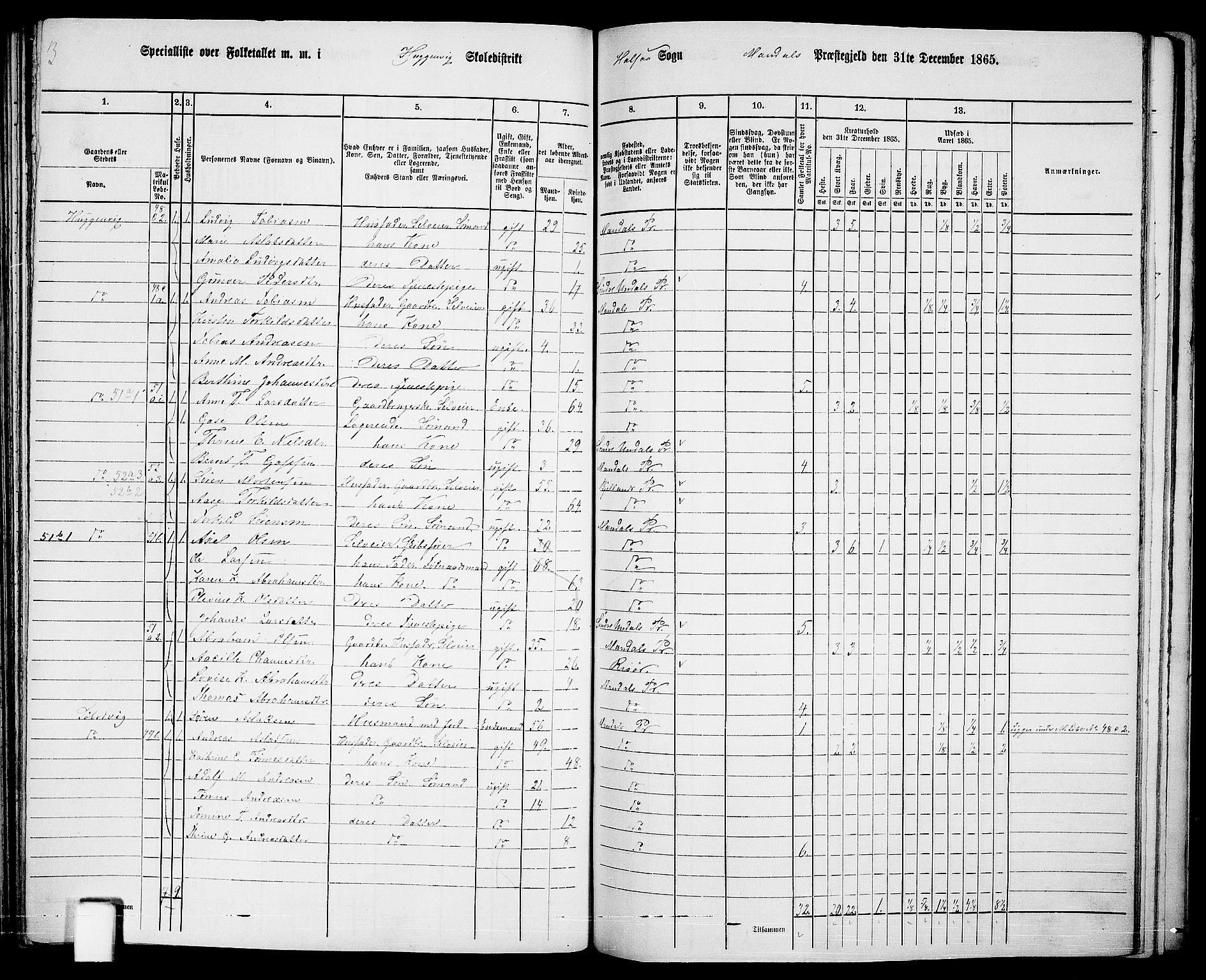 RA, 1865 census for Mandal/Halse og Harkmark, 1865, p. 99