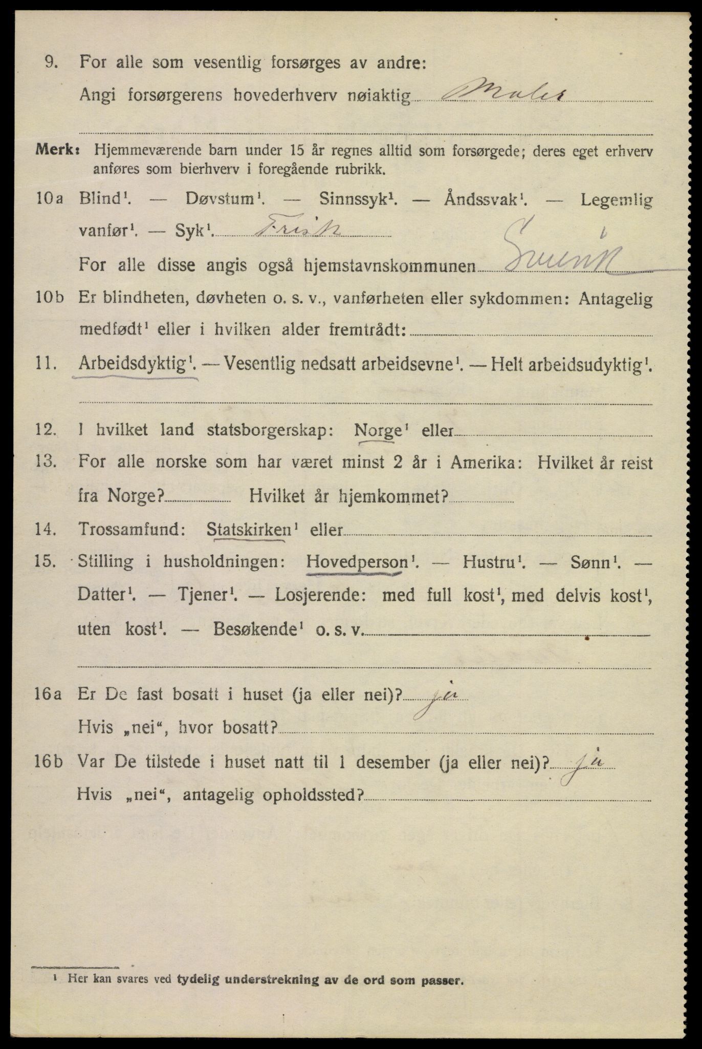 SAKO, 1920 census for Svelvik, 1920, p. 3114