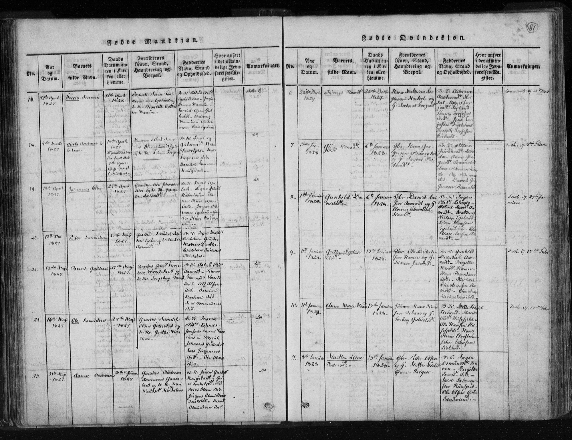 Kvinesdal sokneprestkontor, AV/SAK-1111-0026/F/Fa/Fab/L0003: Parish register (official) no. A 3, 1815-1829, p. 81