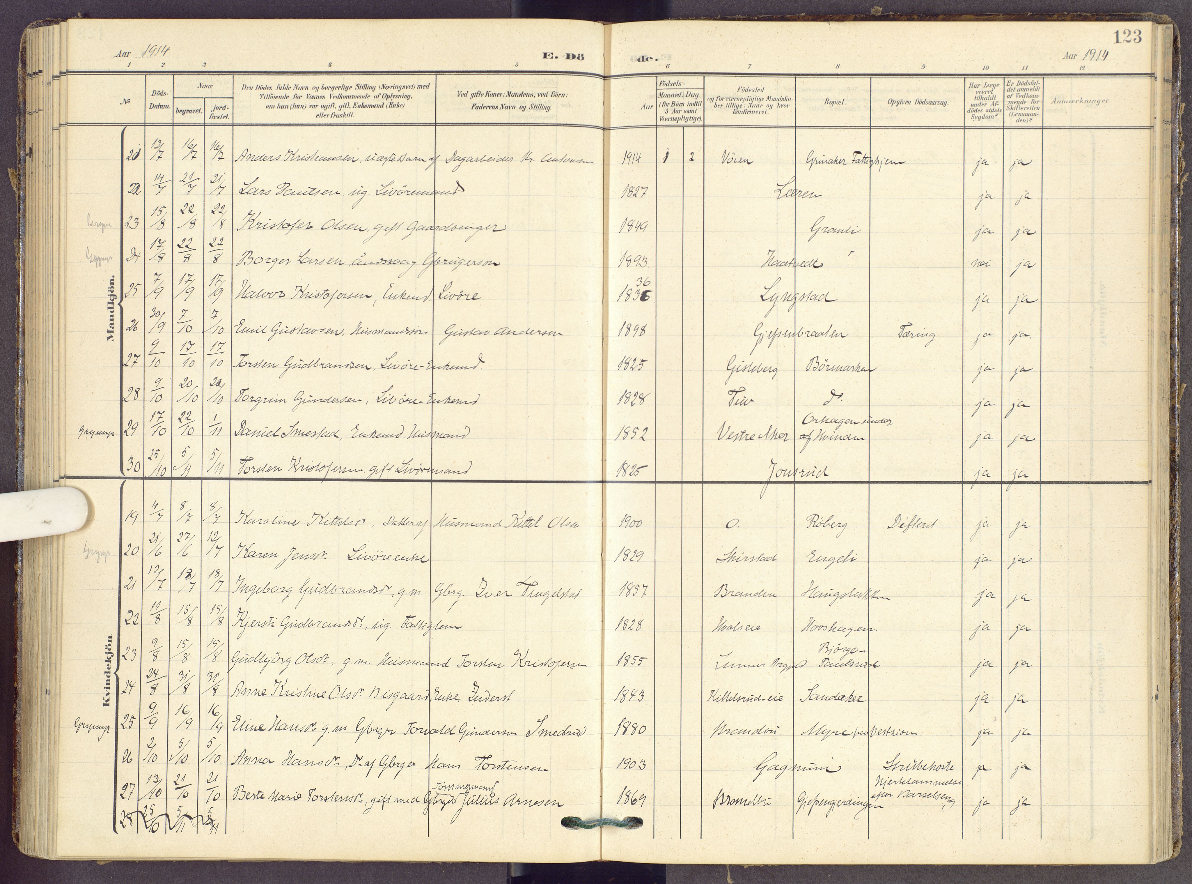 Gran prestekontor, SAH/PREST-112/H/Ha/Haa/L0022: Parish register (official) no. 22, 1908-1918, p. 123