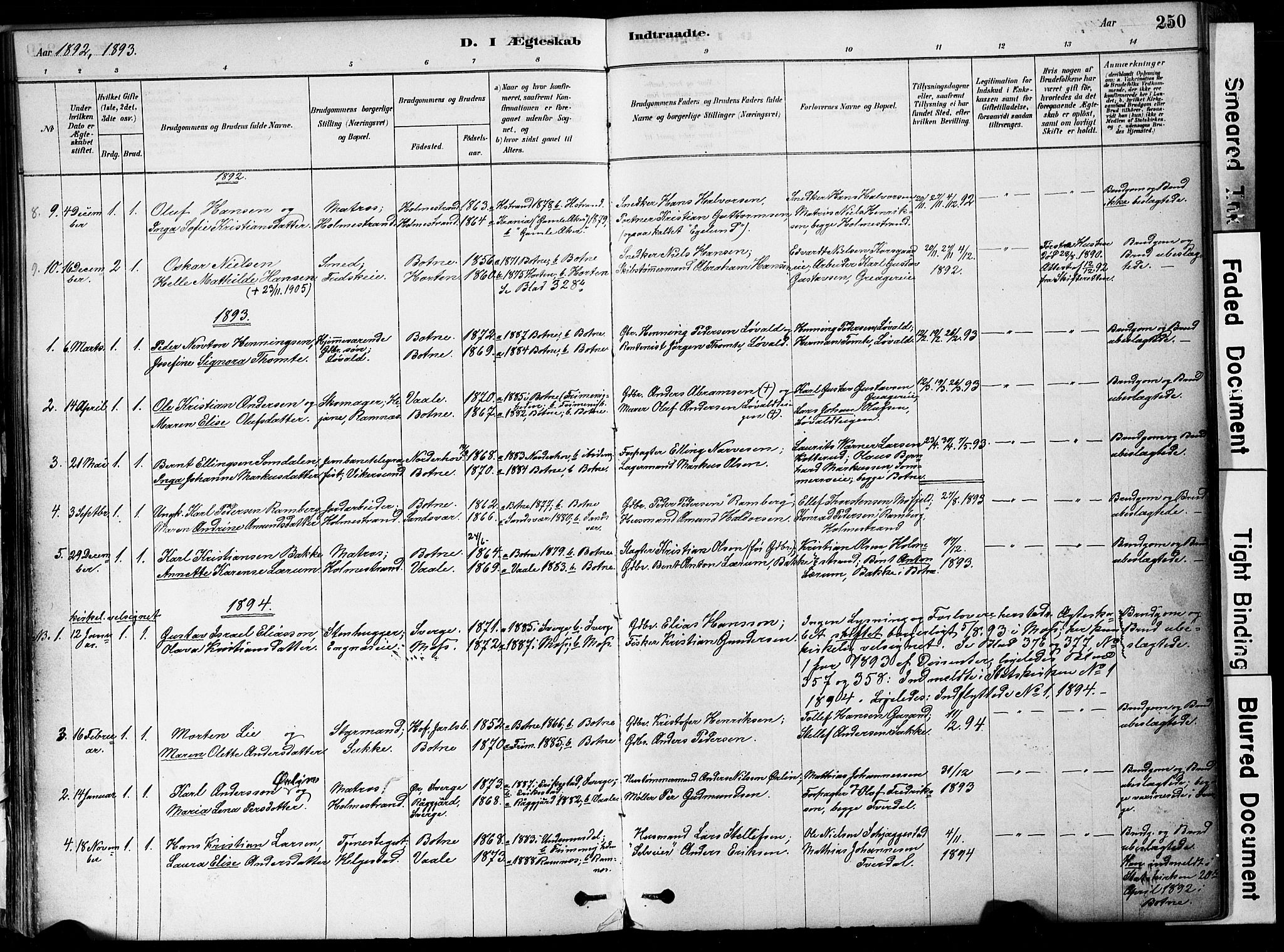 Botne kirkebøker, SAKO/A-340/F/Fa/L0007: Parish register (official) no. I 7, 1878-1910, p. 250