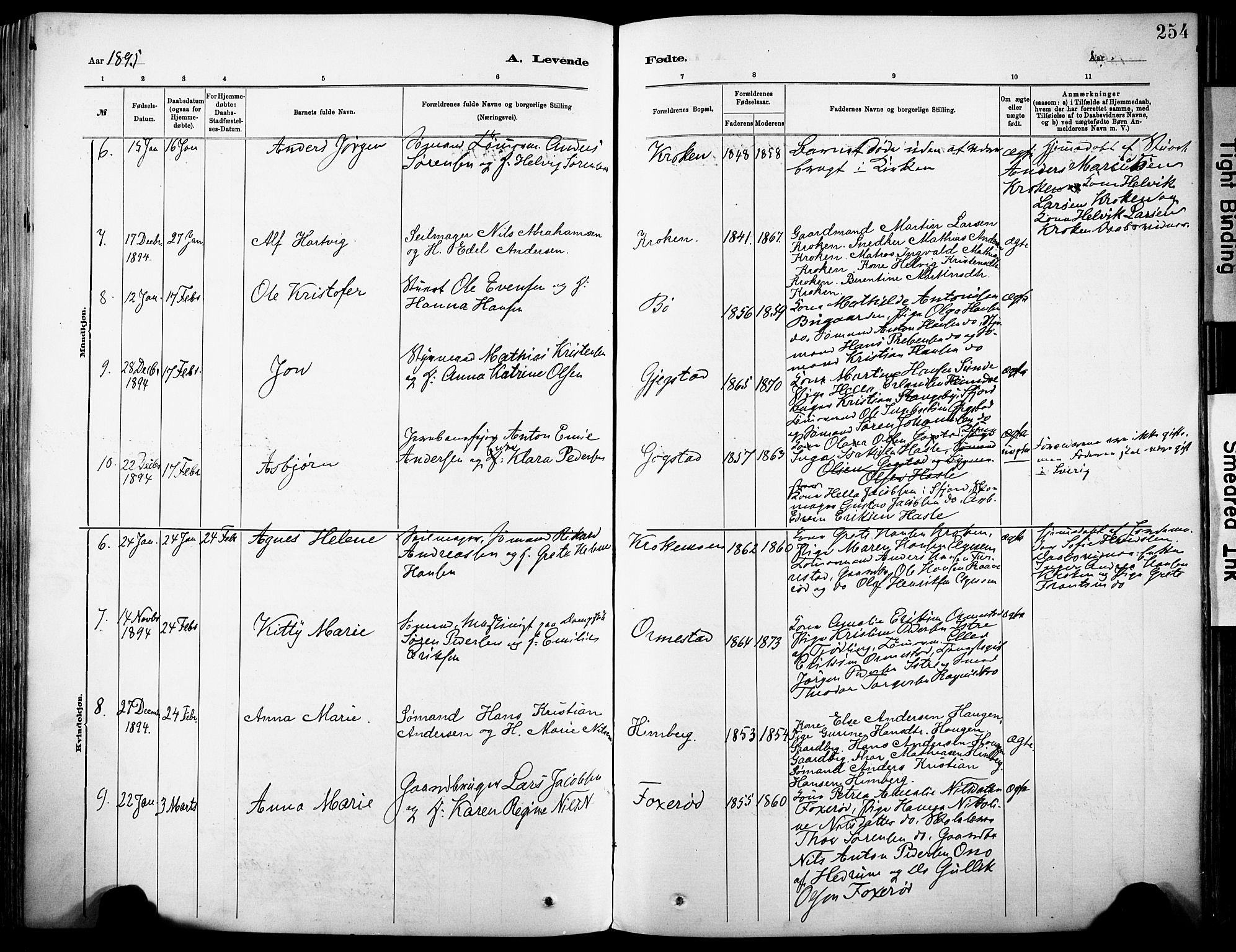 Sandar kirkebøker, AV/SAKO-A-243/F/Fa/L0012: Parish register (official) no. 12, 1883-1895, p. 254