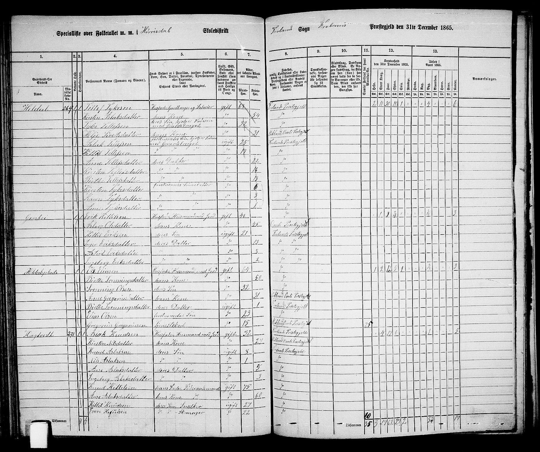 RA, 1865 census for Froland, 1865, p. 78