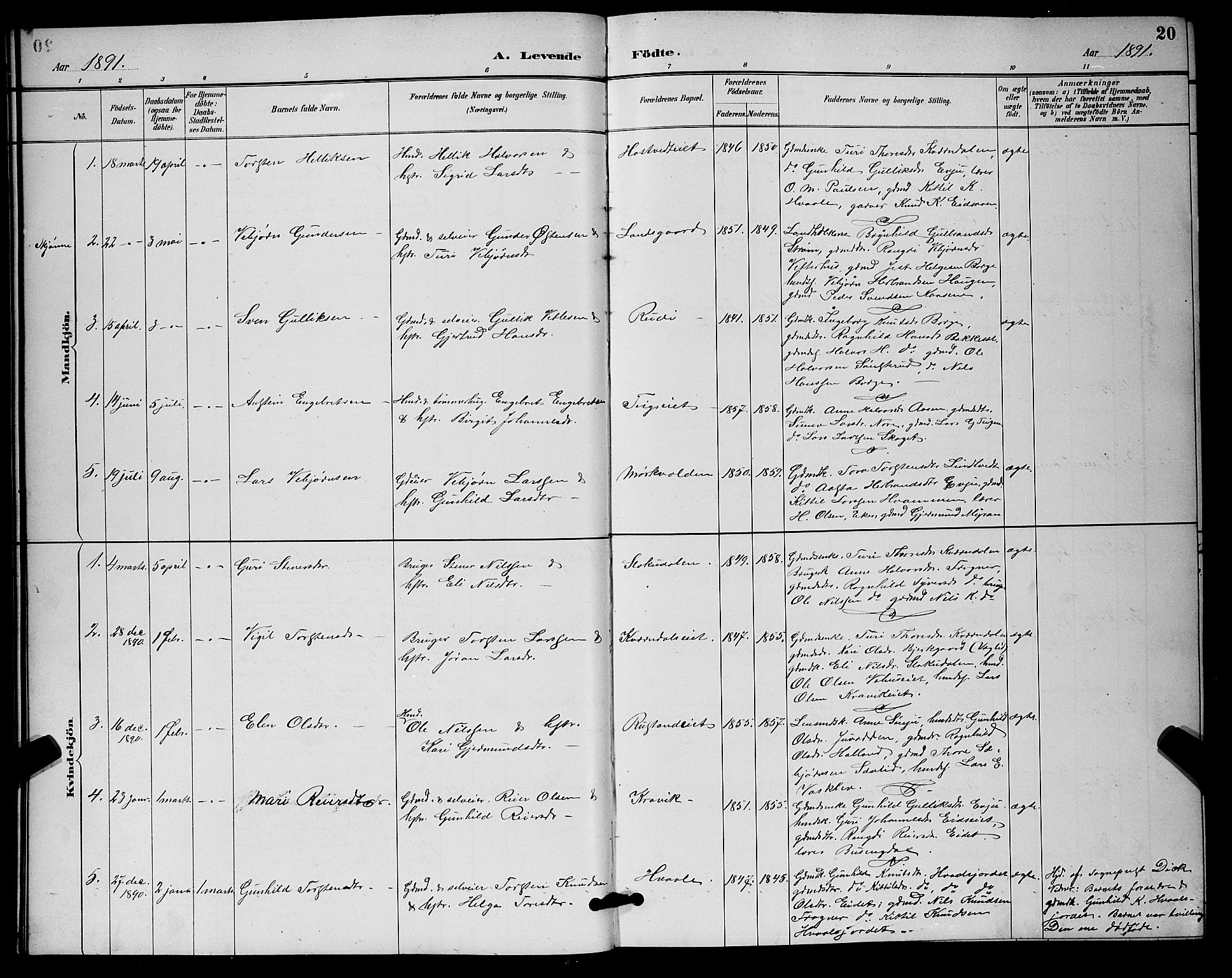 Nore kirkebøker, SAKO/A-238/G/Ga/L0003: Parish register (copy) no. I 3, 1886-1903, p. 20