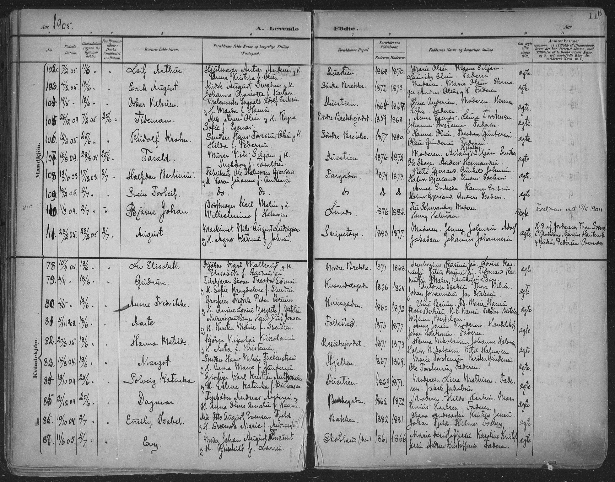 Skien kirkebøker, SAKO/A-302/F/Fa/L0011: Parish register (official) no. 11, 1900-1907, p. 115