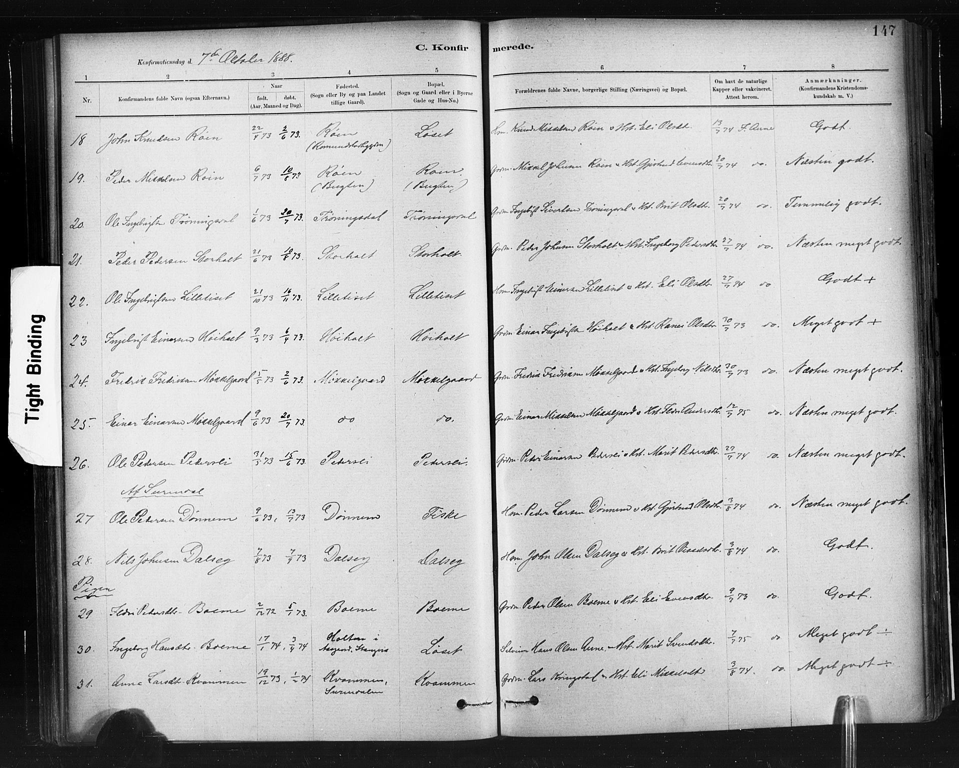 Ministerialprotokoller, klokkerbøker og fødselsregistre - Møre og Romsdal, AV/SAT-A-1454/598/L1069: Parish register (official) no. 598A03, 1882-1895, p. 147