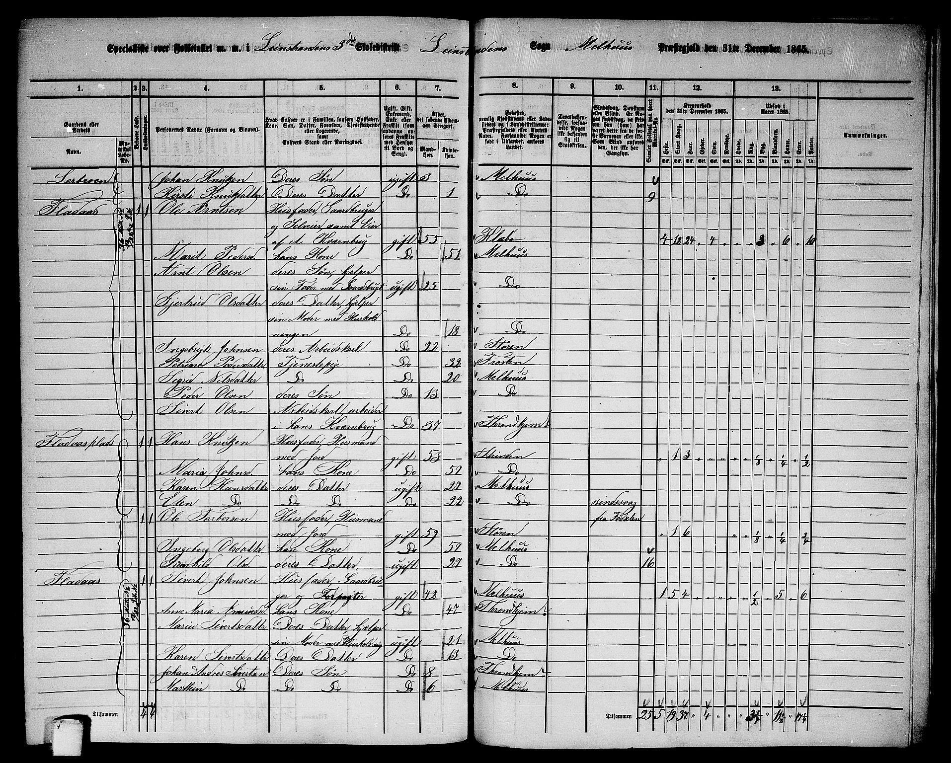 RA, 1865 census for Melhus, 1865, p. 242