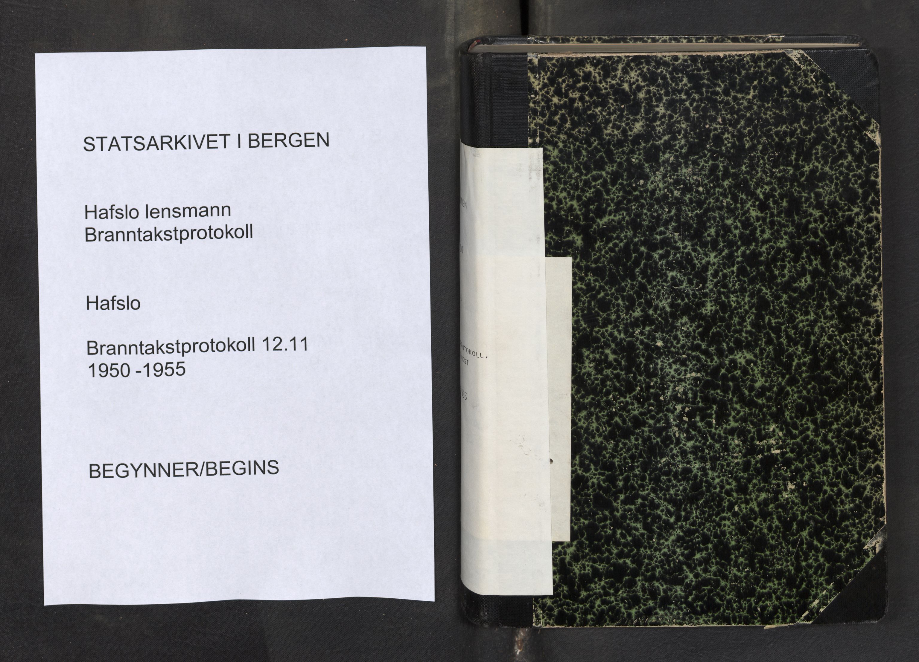 Lensmannen i Hafslo, AV/SAB-A-28001/0012/L0011: Branntakstprotokoll, skjematakst, 1950-1955