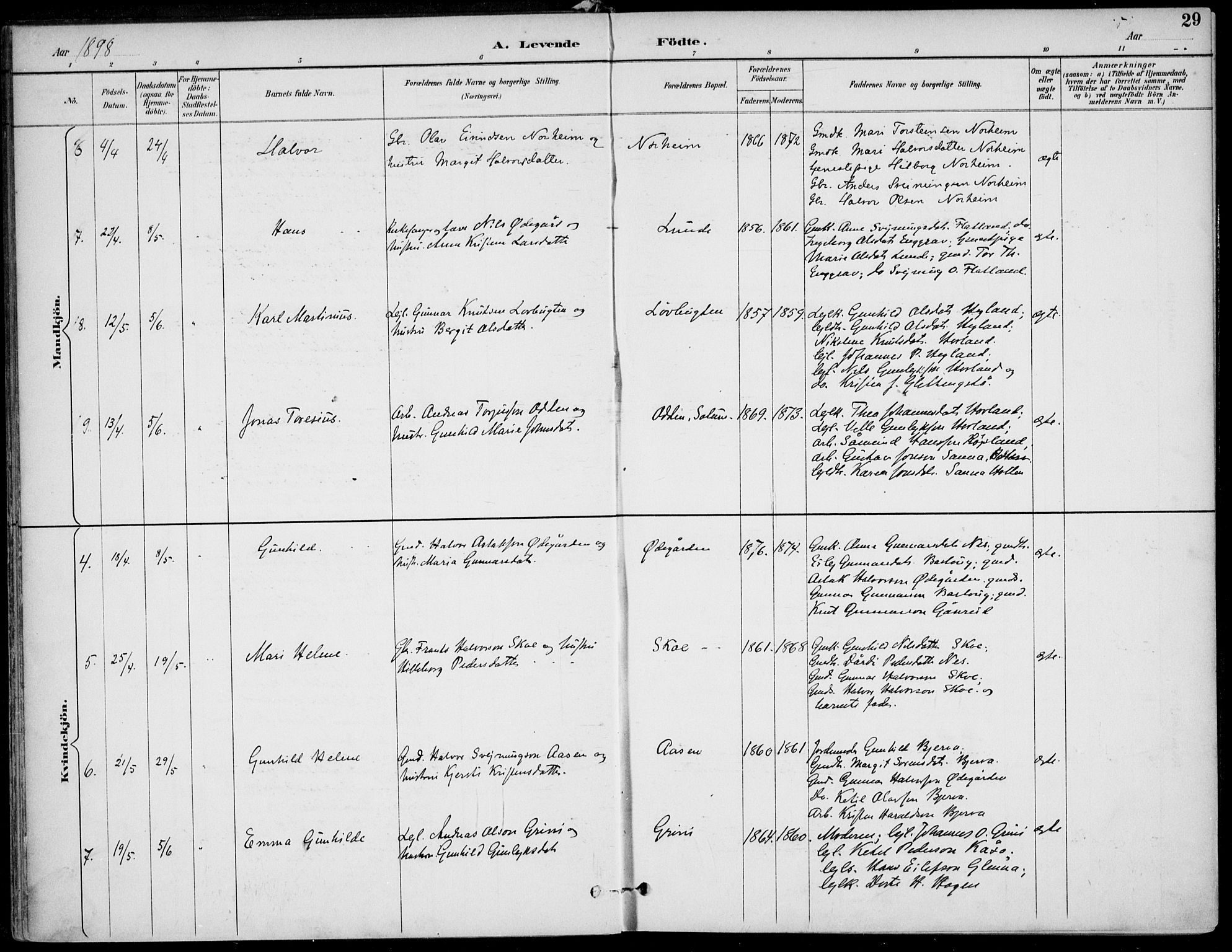 Lunde kirkebøker, SAKO/A-282/F/Fa/L0003: Parish register (official) no. I 3, 1893-1902, p. 29