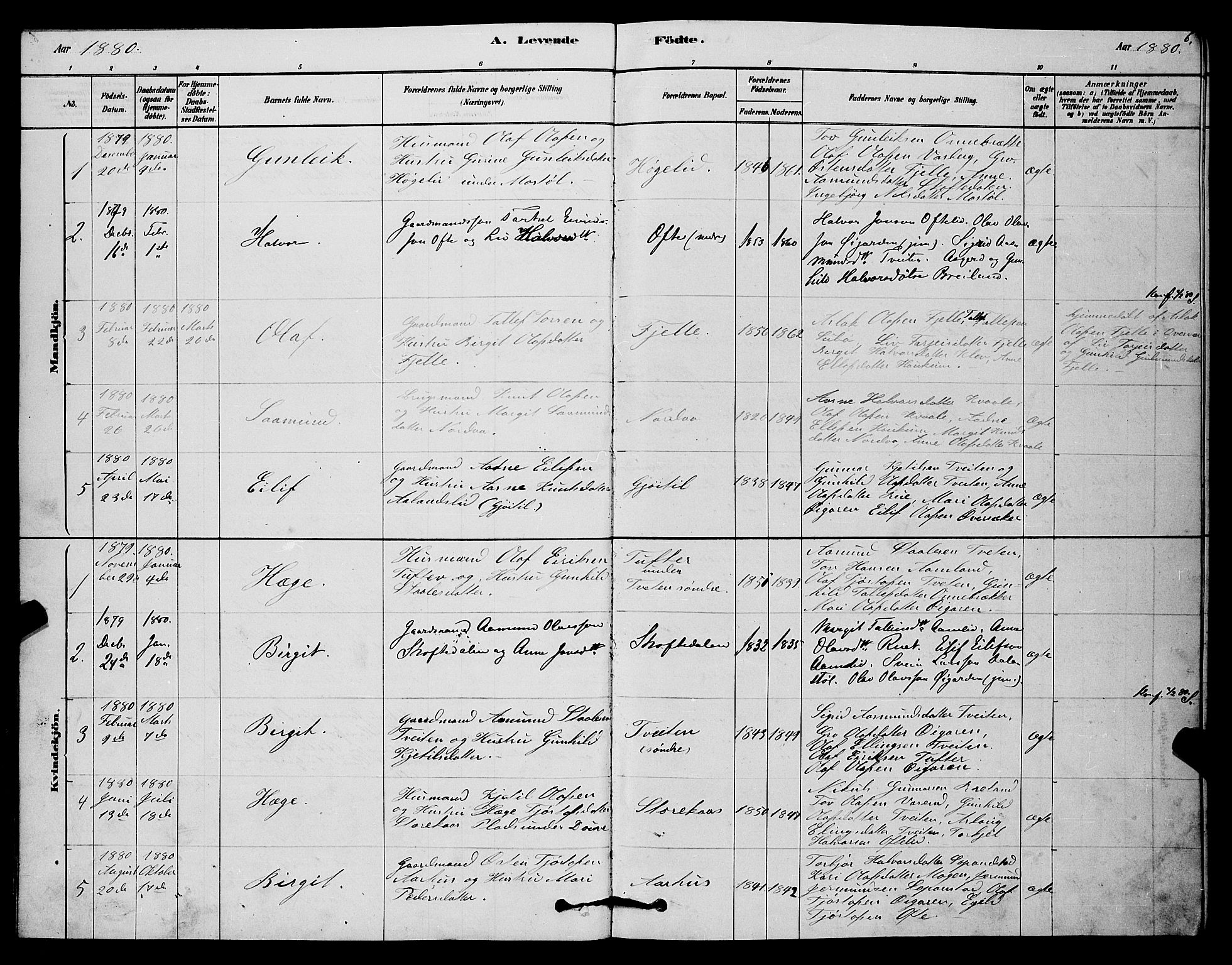 Lårdal kirkebøker, SAKO/A-284/G/Gc/L0003: Parish register (copy) no. III 3, 1878-1890, p. 6