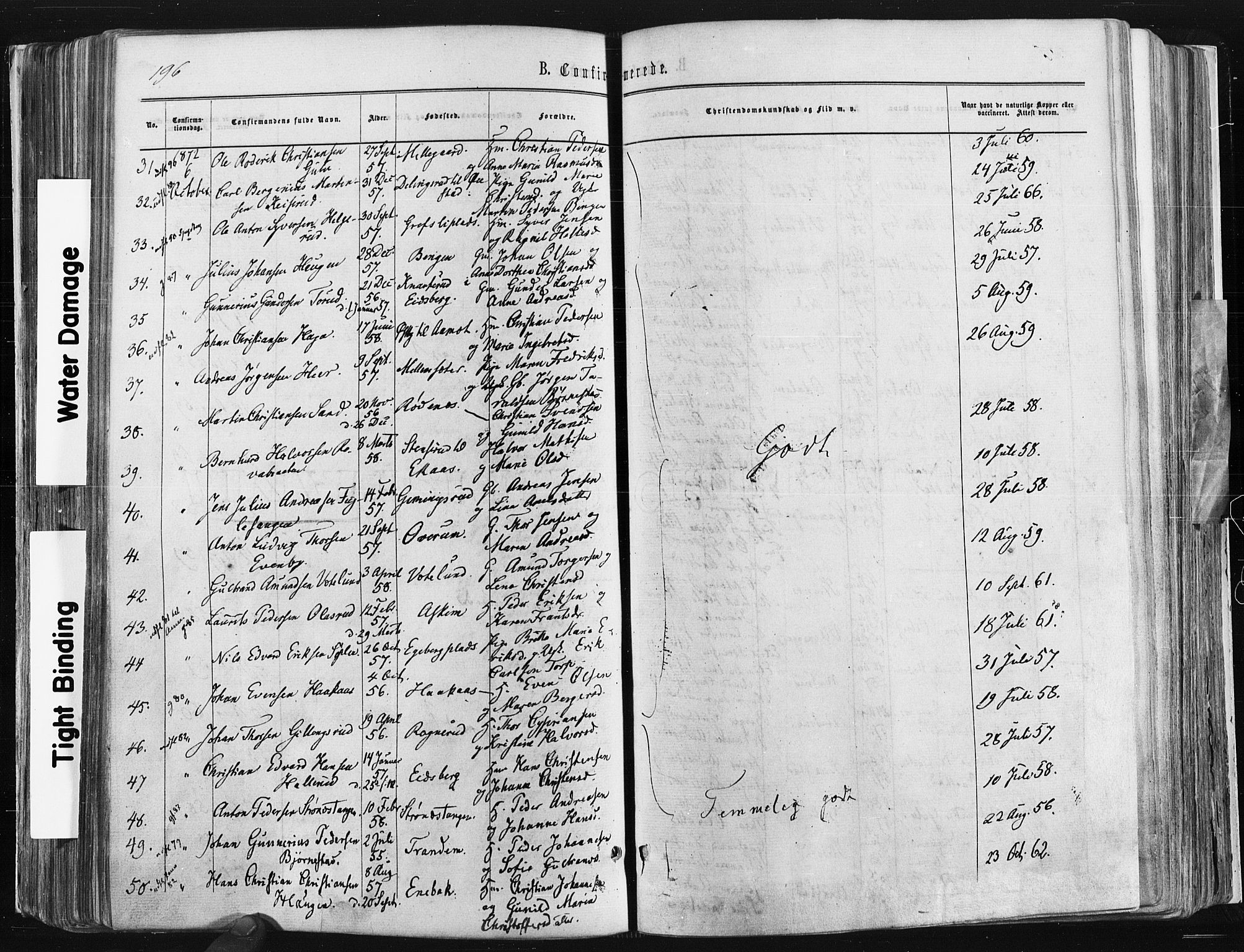 Trøgstad prestekontor Kirkebøker, SAO/A-10925/F/Fa/L0009: Parish register (official) no. I 9, 1865-1877, p. 196