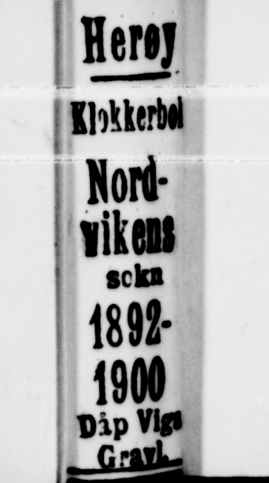 Ministerialprotokoller, klokkerbøker og fødselsregistre - Nordland, SAT/A-1459/836/L0537: Parish register (copy) no. 836C01, 1892-1900