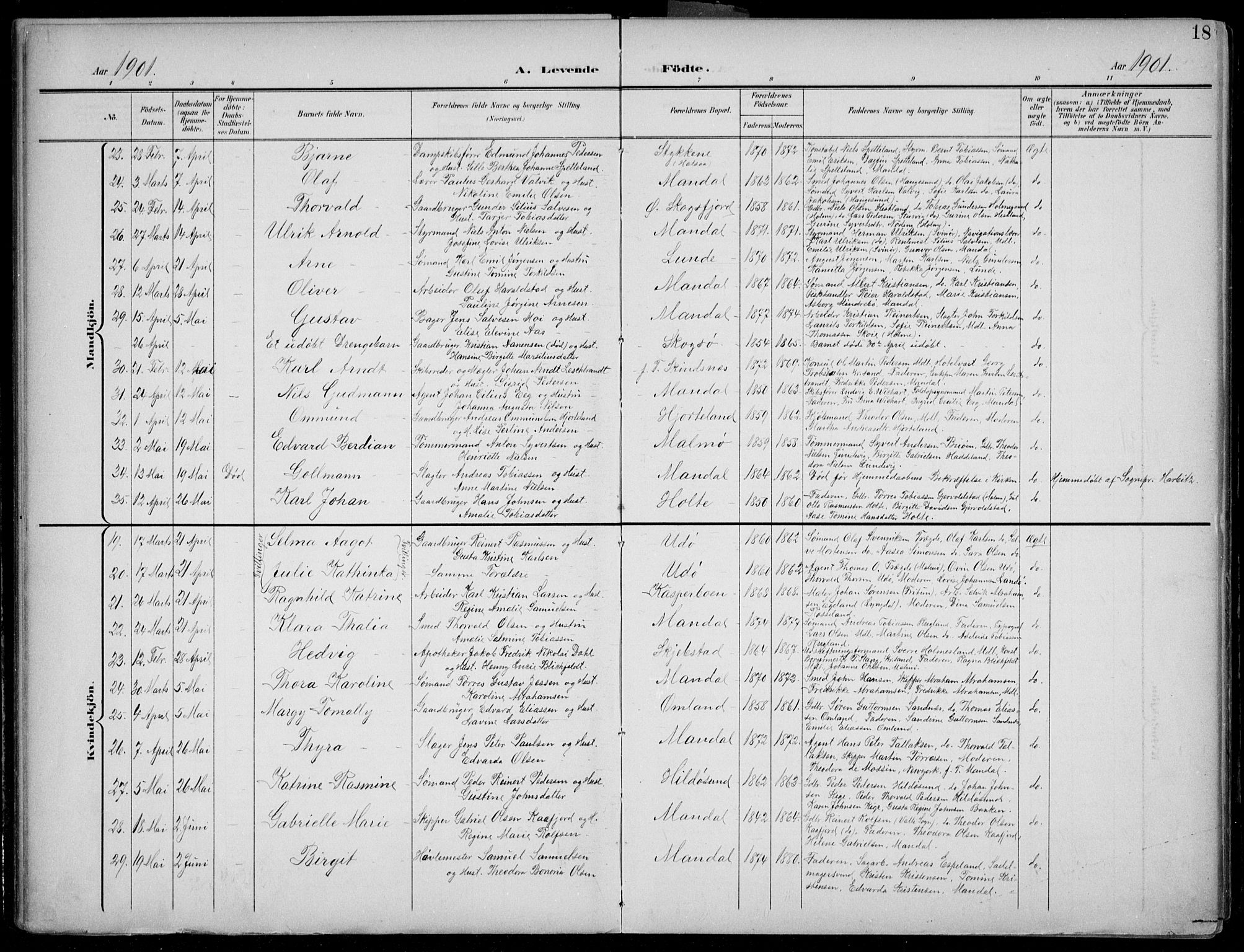 Mandal sokneprestkontor, AV/SAK-1111-0030/F/Fb/Fba/L0012: Parish register (copy) no. B 6, 1899-1918, p. 18