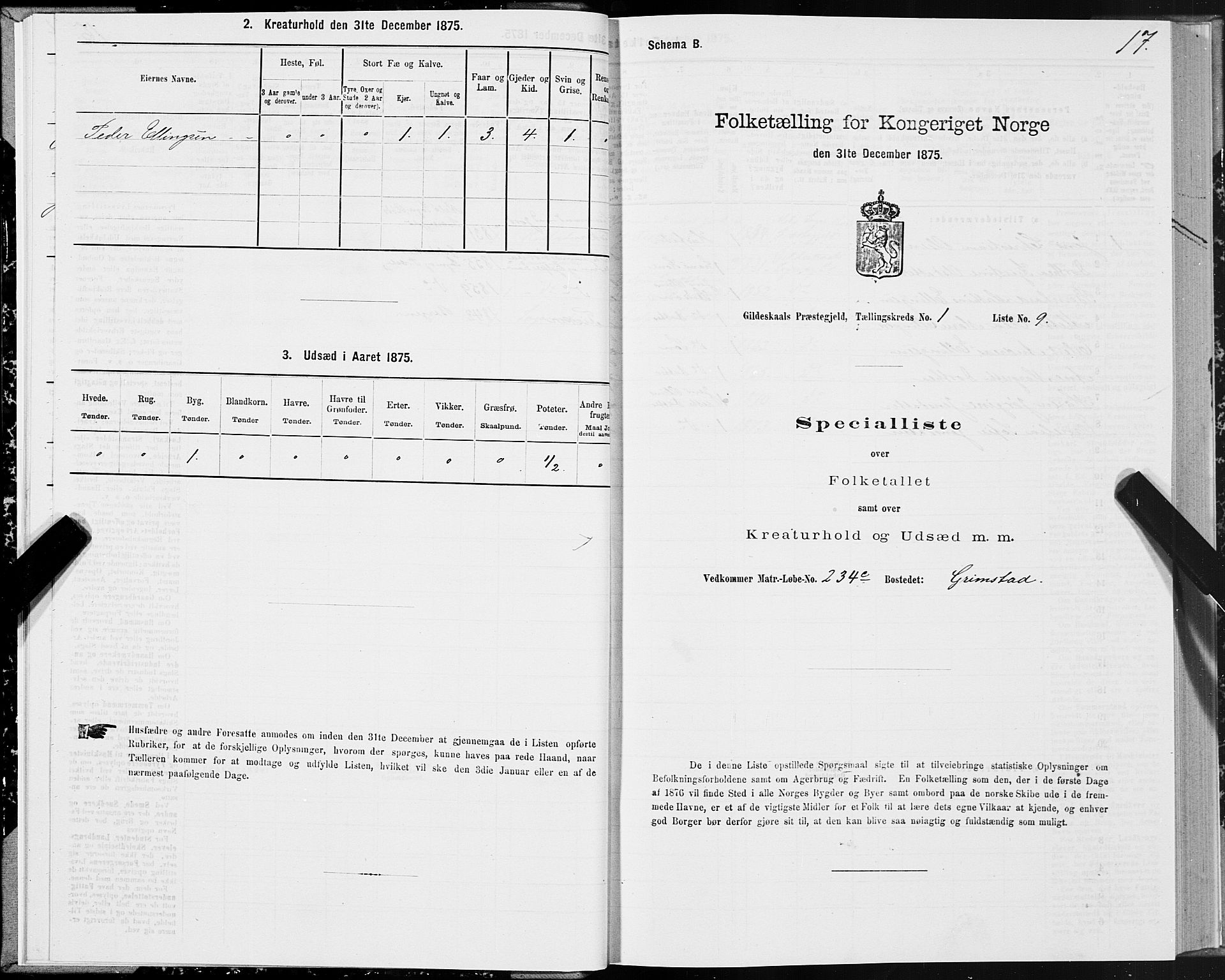 SAT, 1875 census for 1838P Gildeskål, 1875, p. 1017