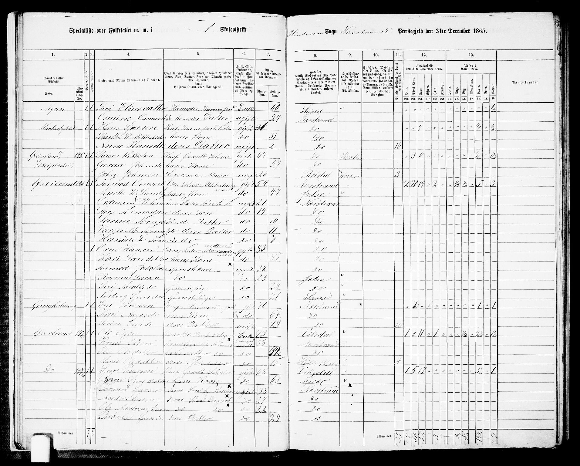 RA, 1865 census for Nedstrand, 1865, p. 16