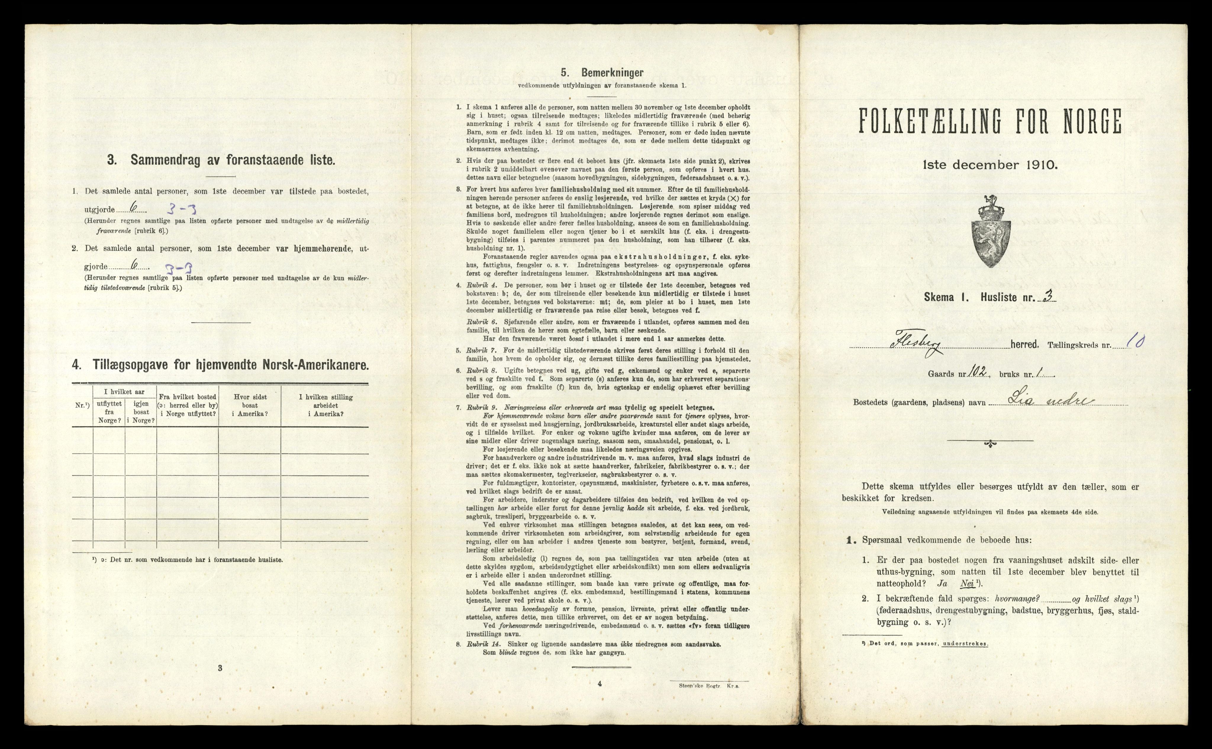 RA, 1910 census for Flesberg, 1910, p. 825