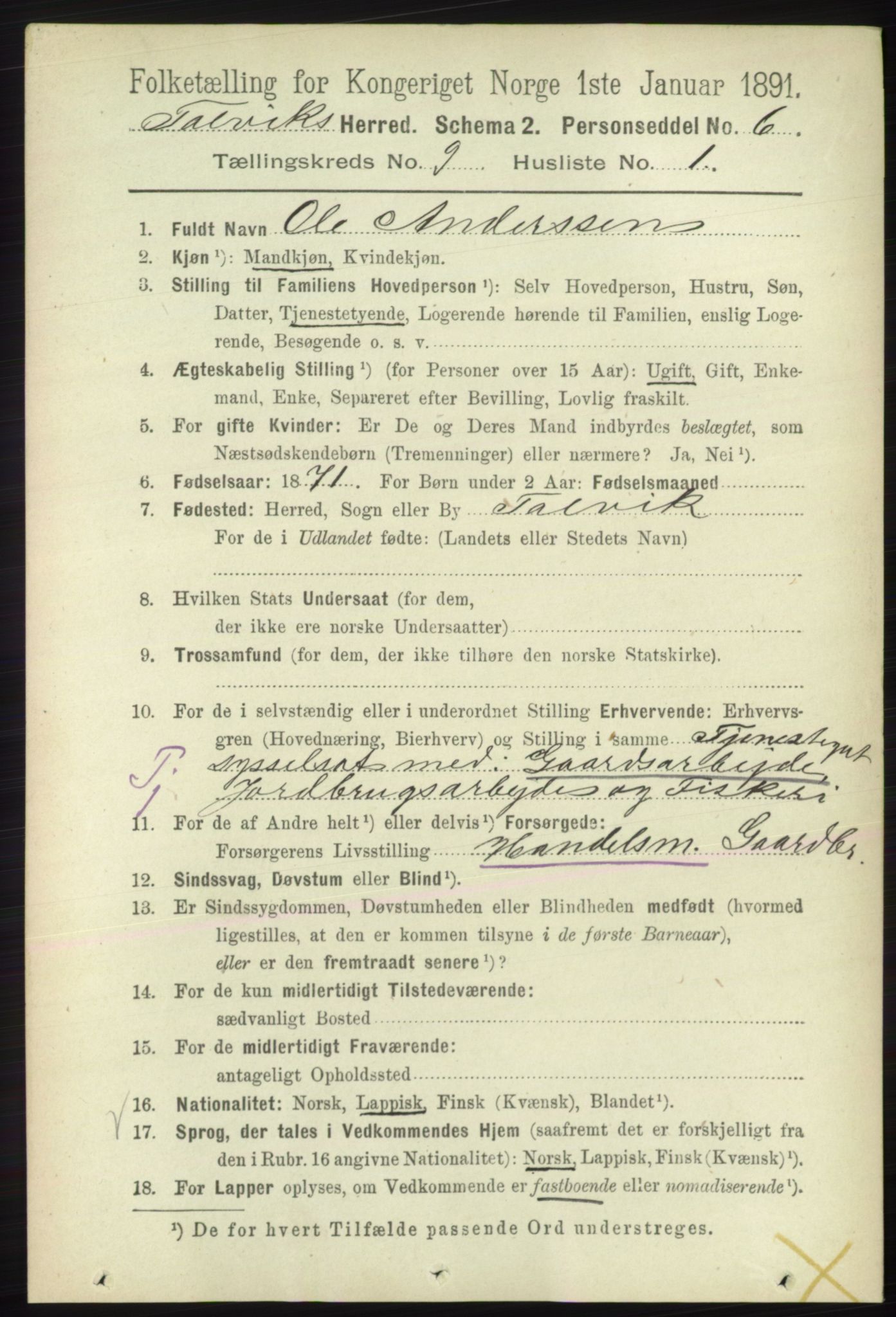 RA, 1891 census for 2013 Talvik, 1891, p. 2175