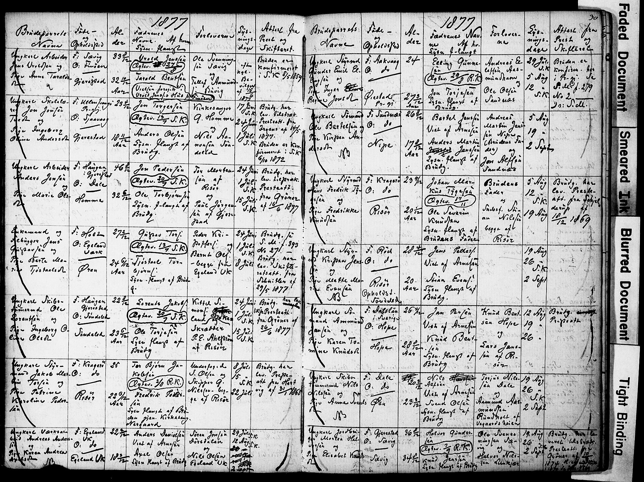 Risør sokneprestkontor, AV/SAK-1111-0035/F/Fe/L0002: Banns register no. A VI 2, 1875-1881, p. 30