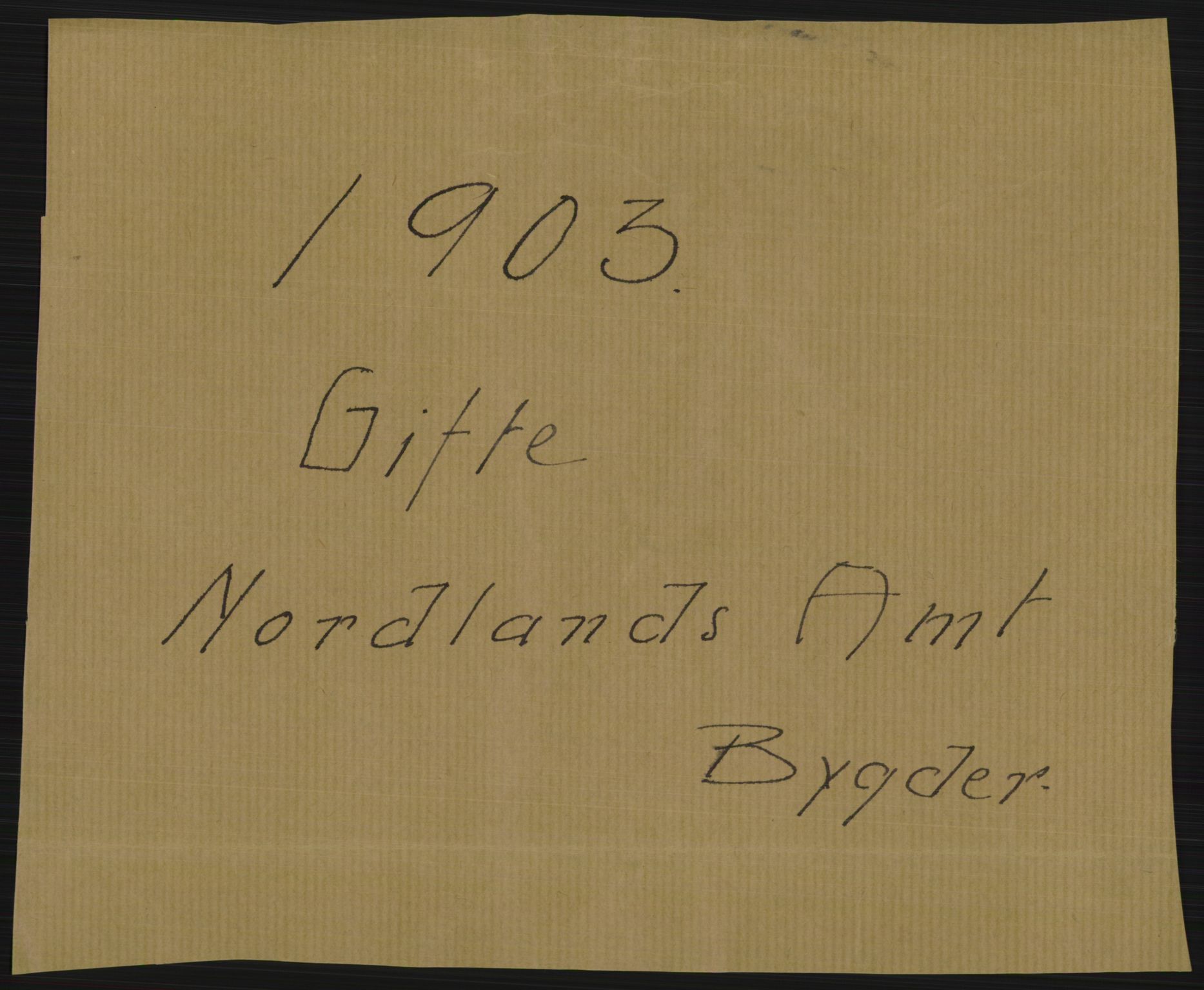 Statistisk sentralbyrå, Sosiodemografiske emner, Befolkning, AV/RA-S-2228/D/Df/Dfa/Dfaa/L0019: Nordlands amt: Fødte, gifte, døde., 1903, p. 43