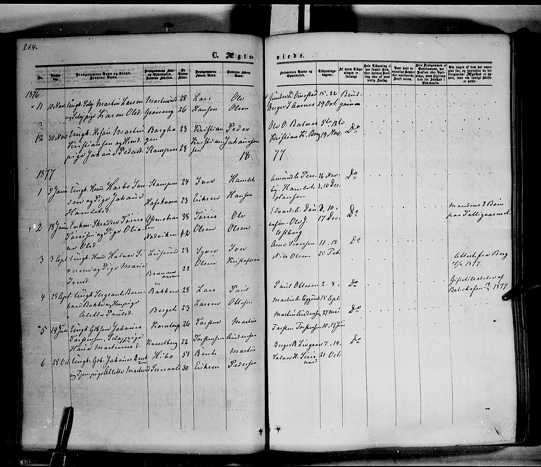 Hof prestekontor, SAH/PREST-038/H/Ha/Haa/L0009: Parish register (official) no. 9, 1862-1877, p. 214