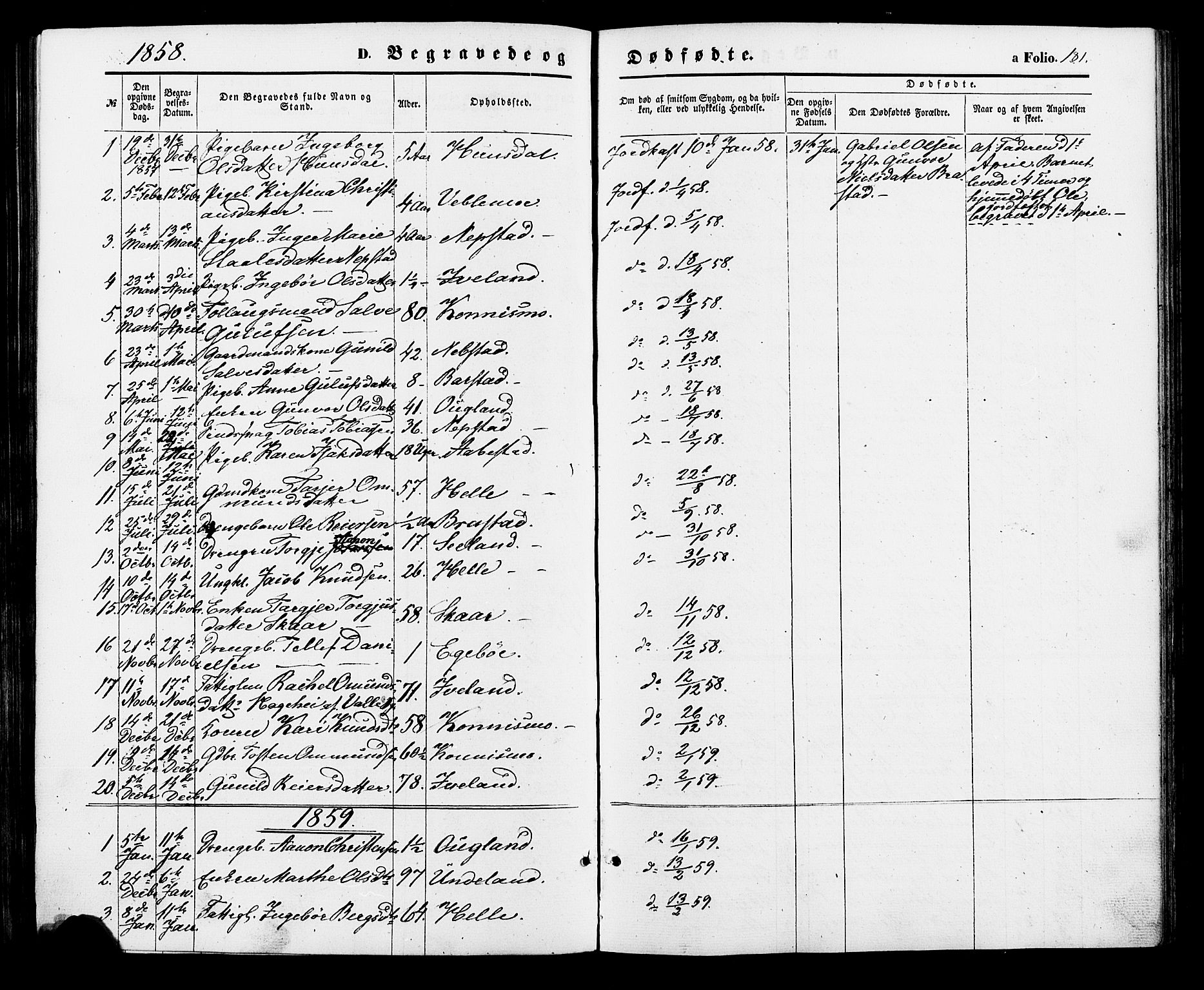 Nord-Audnedal sokneprestkontor, AV/SAK-1111-0032/F/Fa/Faa/L0002: Parish register (official) no. A 2, 1857-1882, p. 181