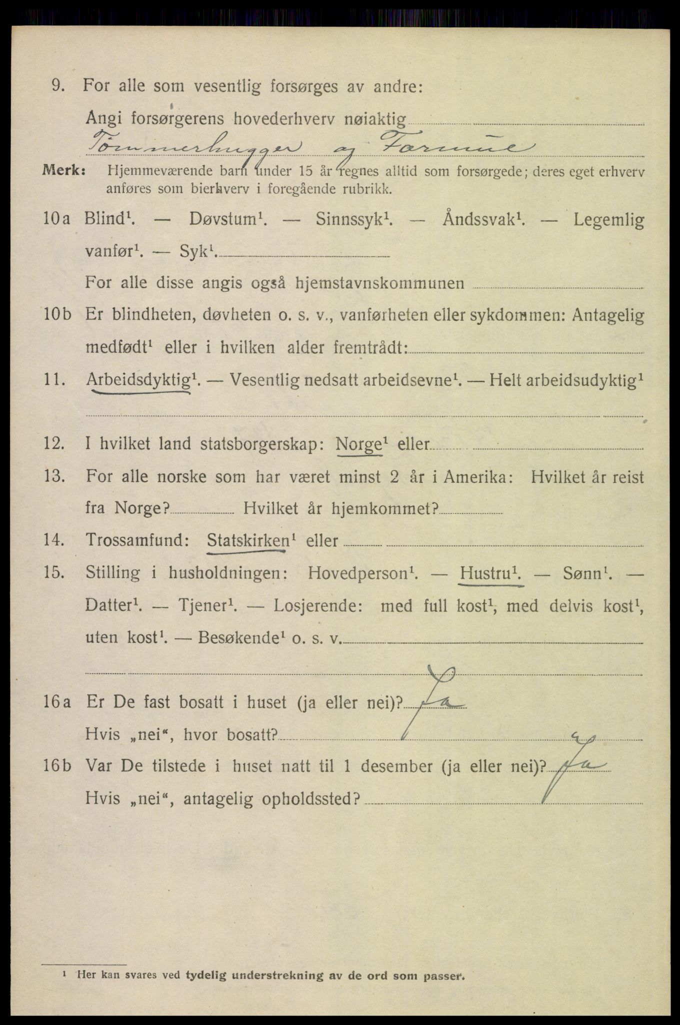 SAH, 1920 census for Trysil, 1920, p. 12604
