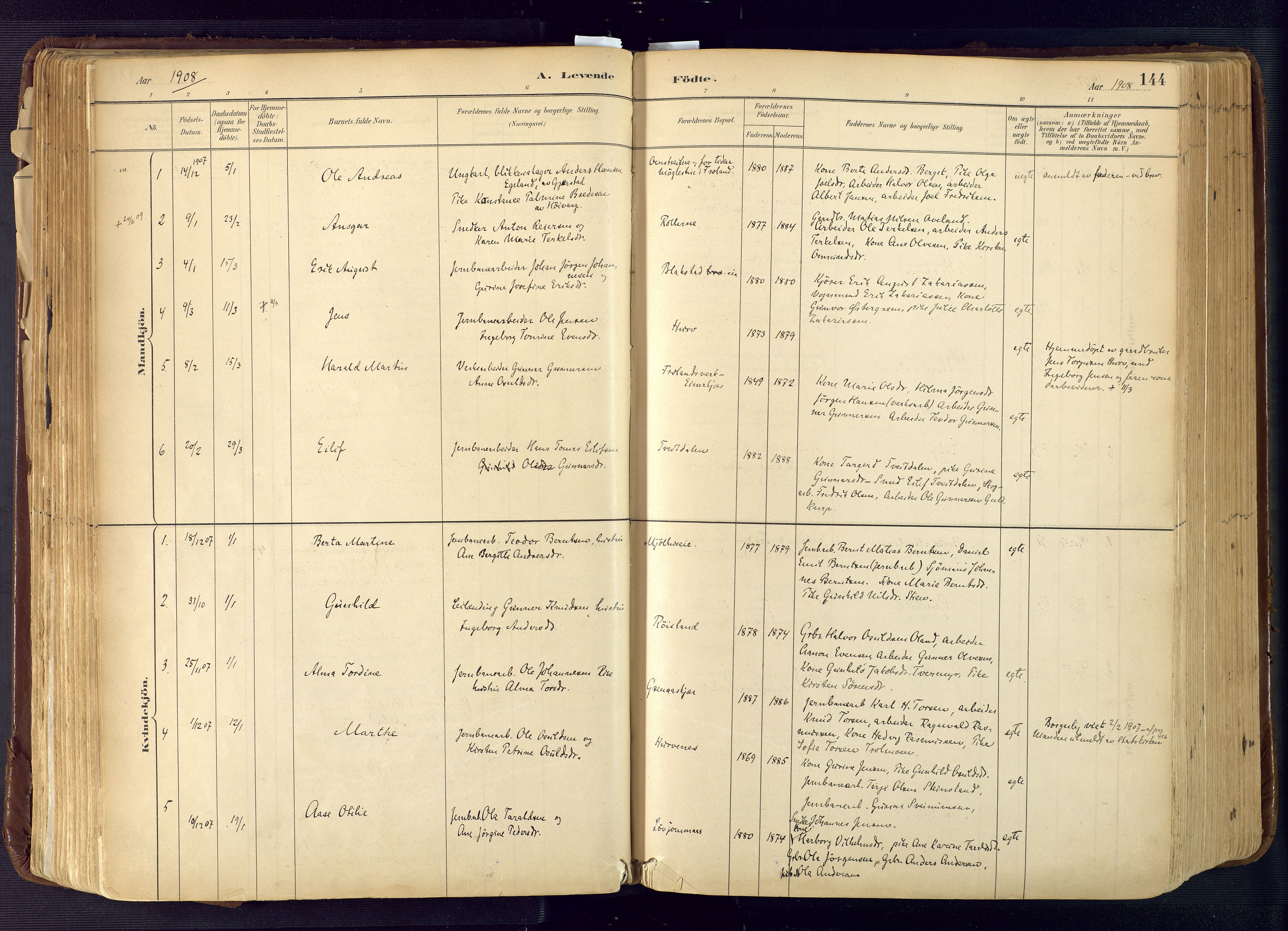 Froland sokneprestkontor, SAK/1111-0013/F/Fa/L0005: Parish register (official) no. A 5, 1882-1921, p. 144