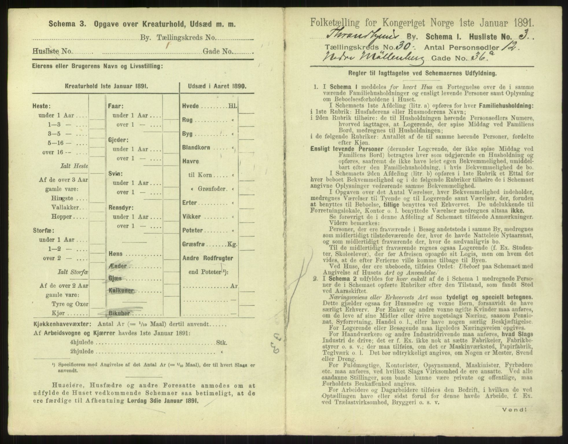 RA, 1891 census for 1601 Trondheim, 1891, p. 2198