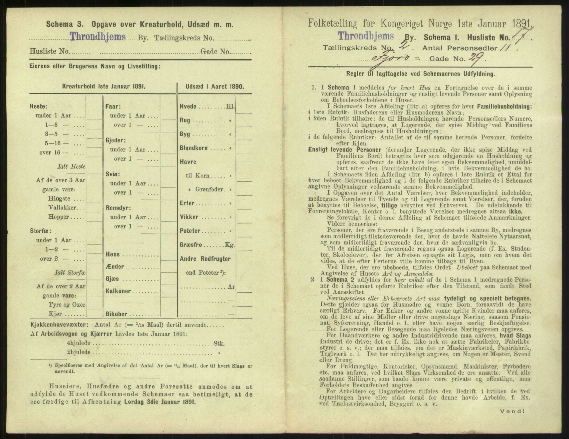 RA, 1891 census for 1601 Trondheim, 1891, p. 268