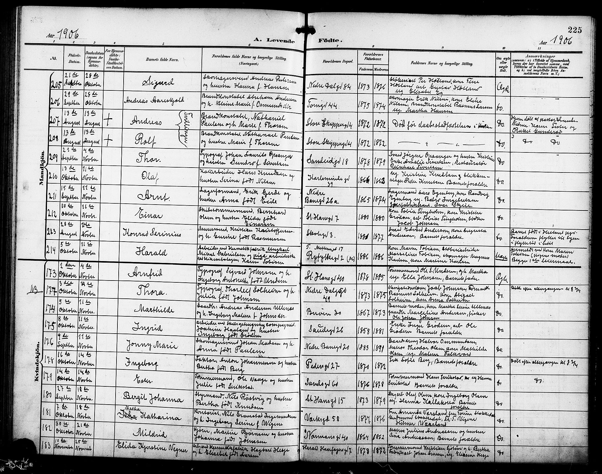 St. Johannes sokneprestkontor, AV/SAST-A-101814/001/30/30BB/L0004: Parish register (copy) no. B 4, 1900-1907, p. 225