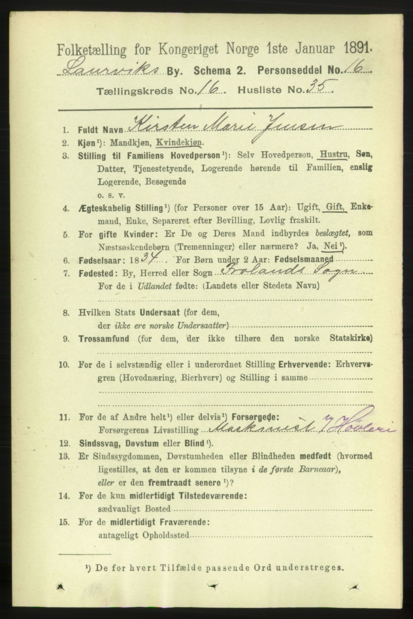 RA, 1891 census for 0707 Larvik, 1891, p. 11919