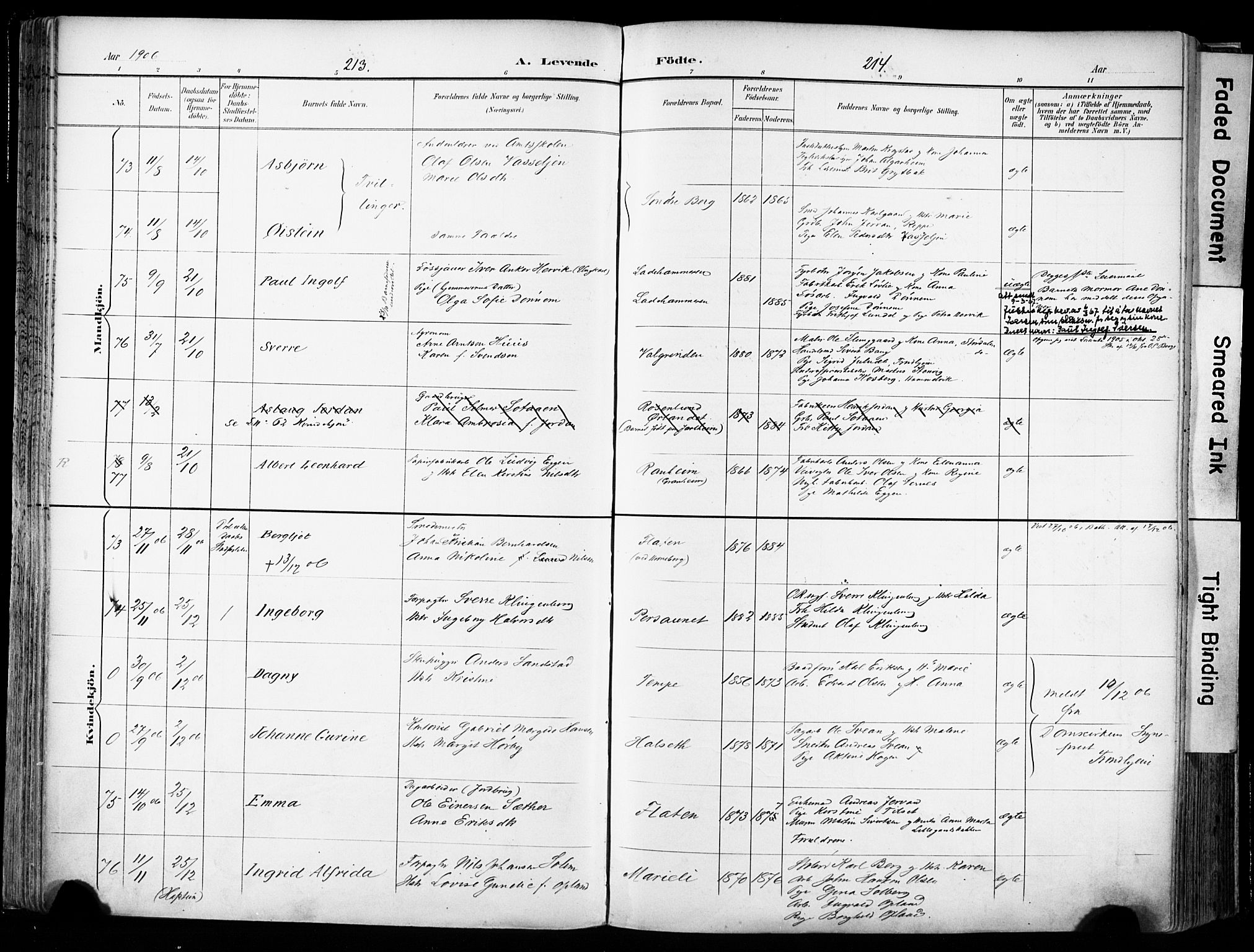 Ministerialprotokoller, klokkerbøker og fødselsregistre - Sør-Trøndelag, AV/SAT-A-1456/606/L0301: Parish register (official) no. 606A16, 1894-1907, p. 213-214