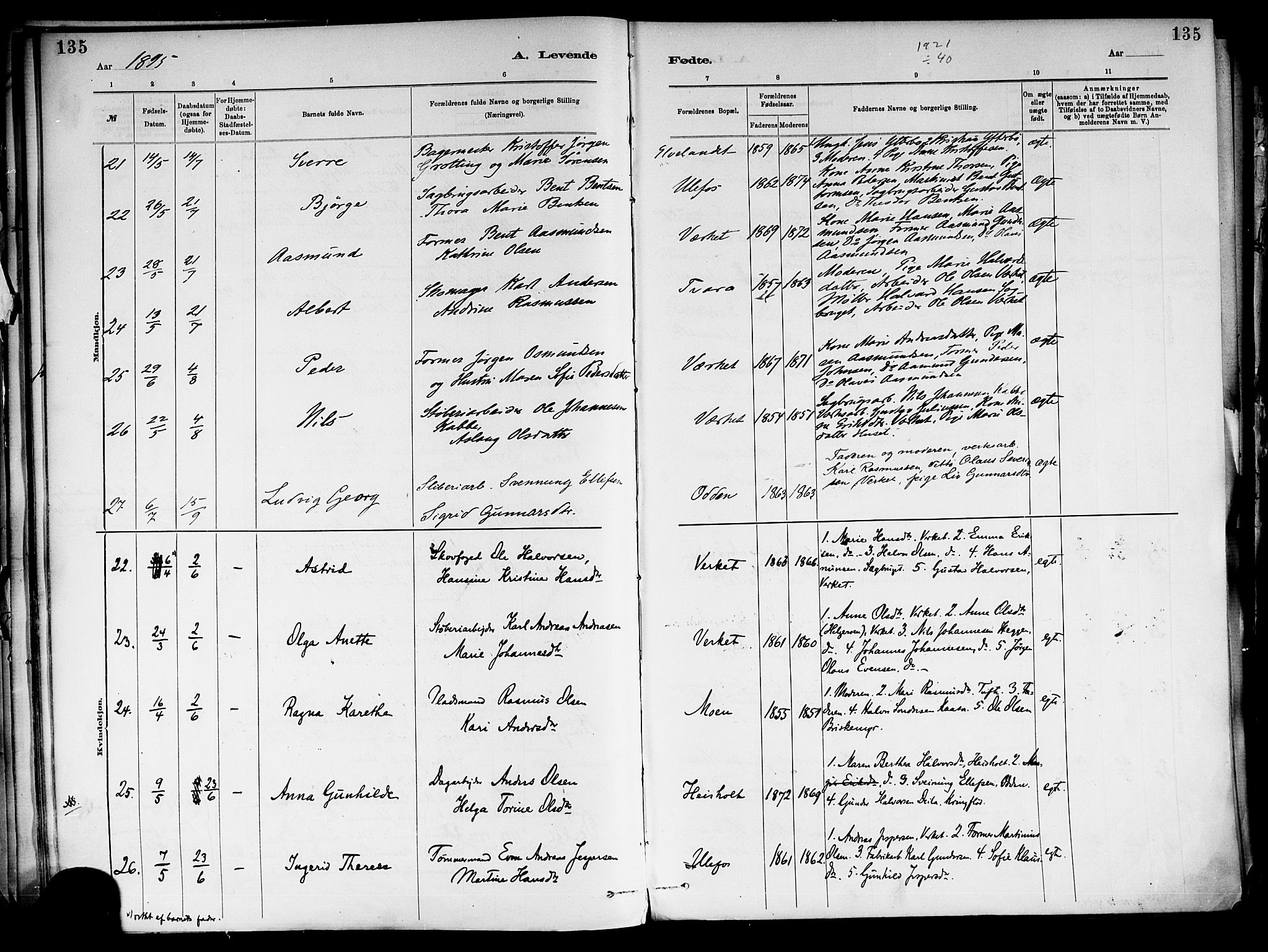 Holla kirkebøker, SAKO/A-272/F/Fa/L0008: Parish register (official) no. 8, 1882-1897, p. 135