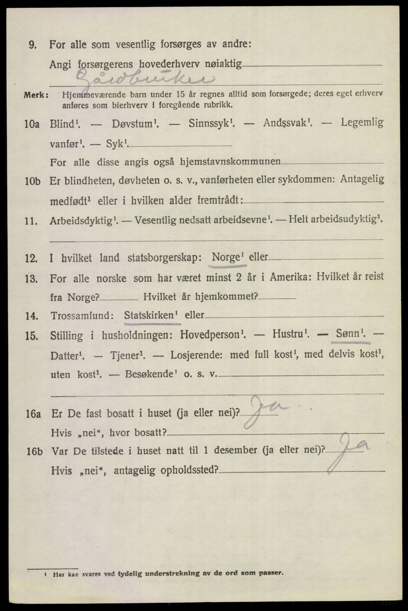 SAKO, 1920 census for Norderhov, 1920, p. 18503