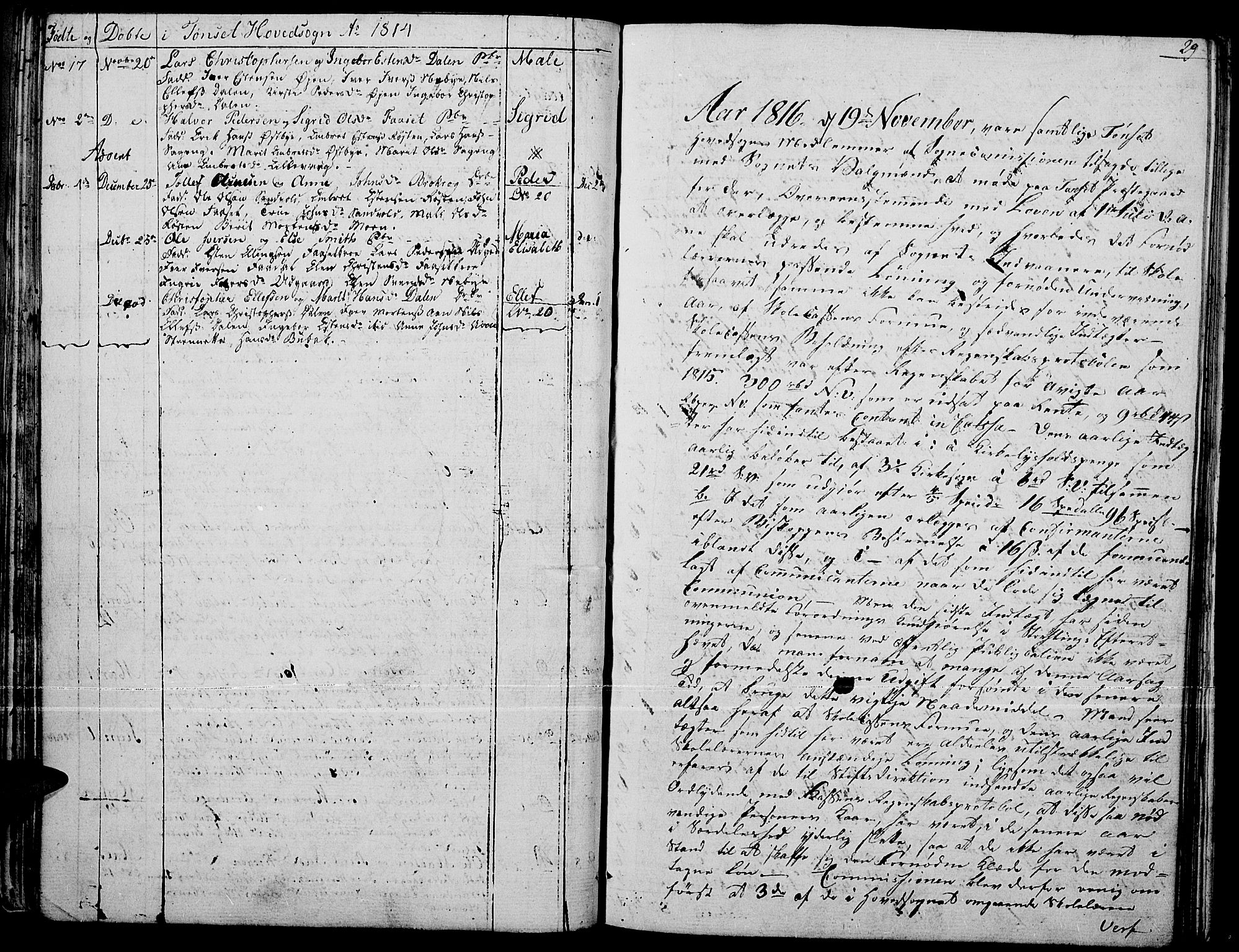 Tynset prestekontor, SAH/PREST-058/H/Ha/Haa/L0015: Parish register (official) no. 15, 1801-1814, p. 29