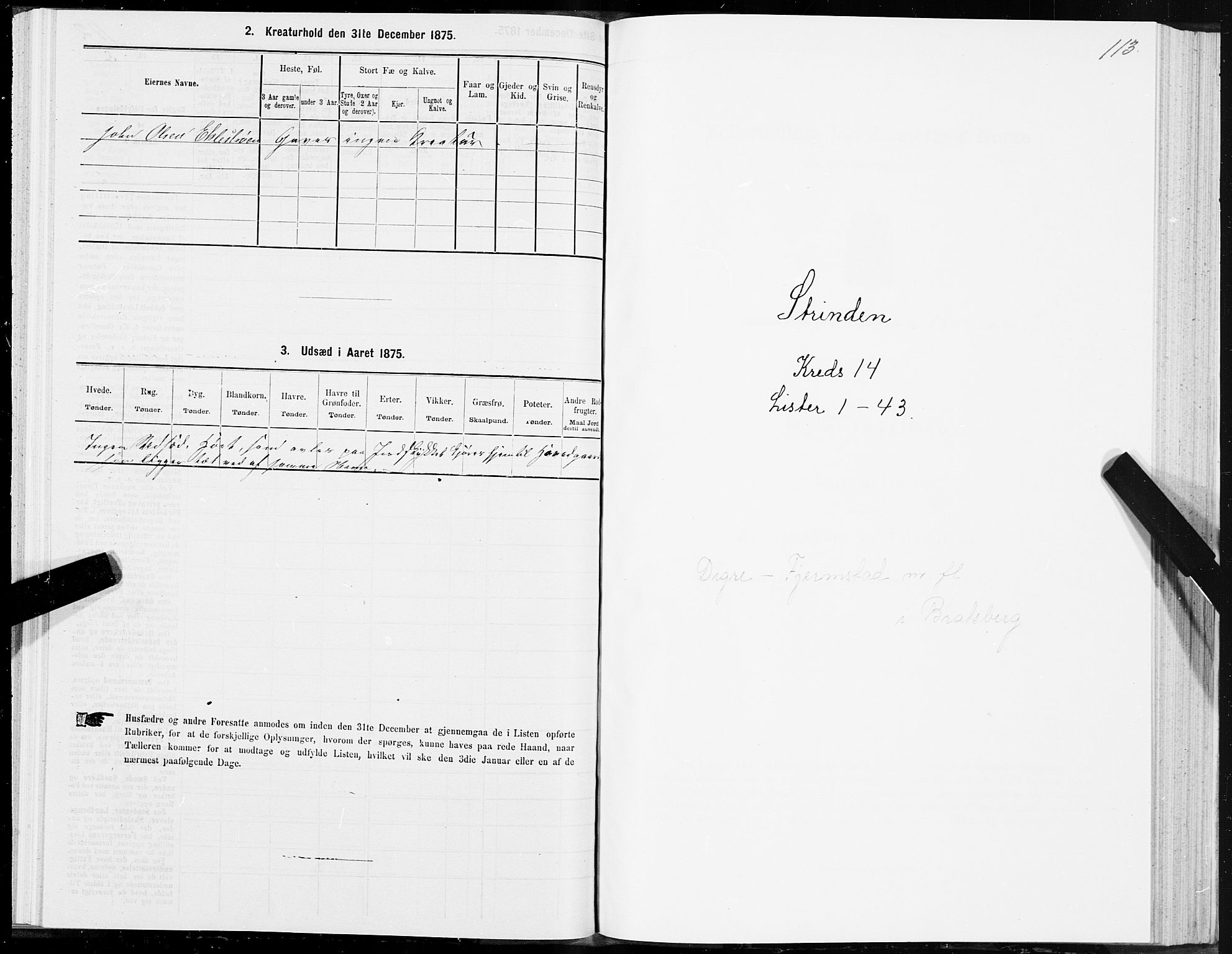 SAT, 1875 census for 1660P Strinda, 1875, p. 8113