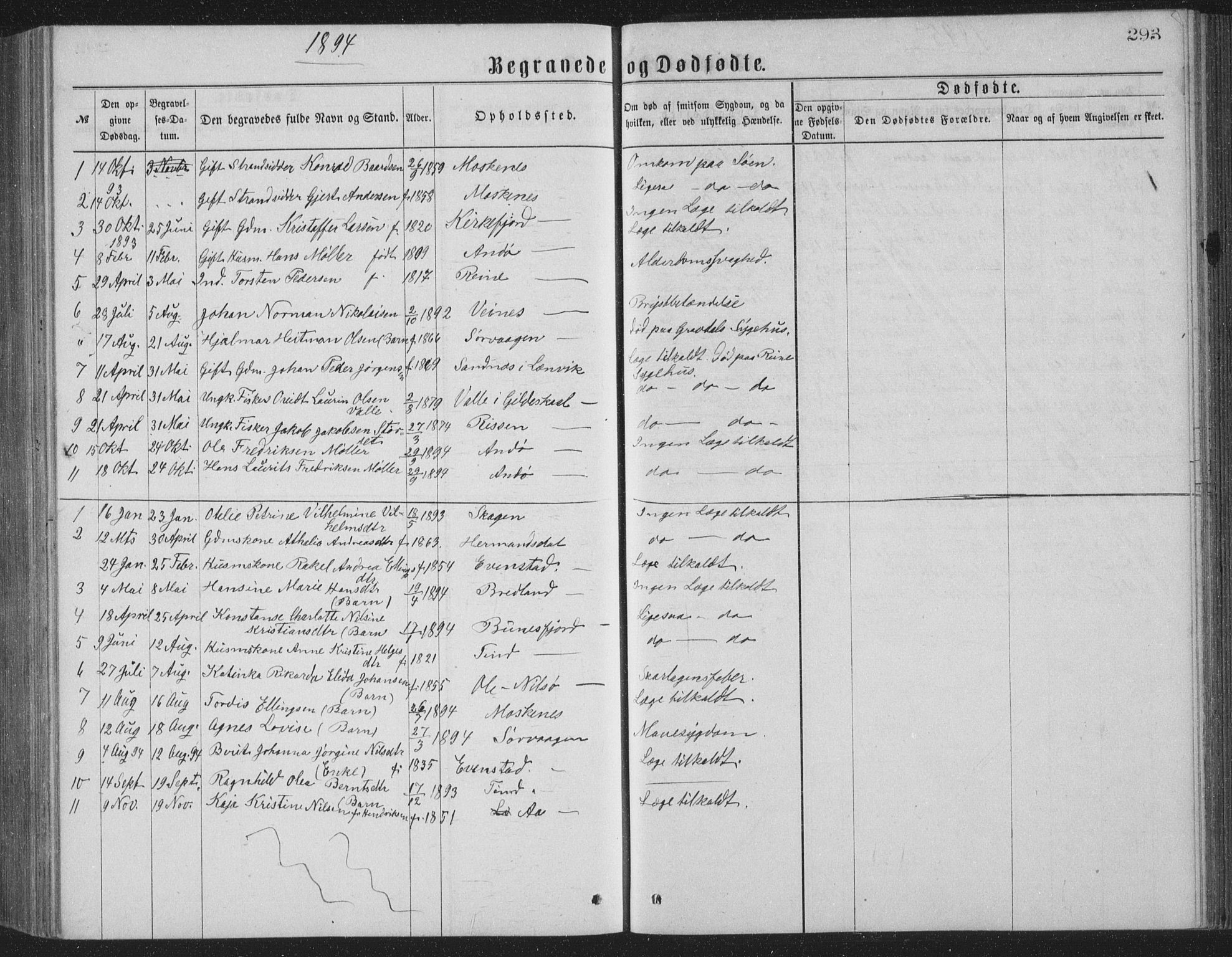 Ministerialprotokoller, klokkerbøker og fødselsregistre - Nordland, SAT/A-1459/886/L1225: Parish register (copy) no. 886C02, 1874-1896, p. 293