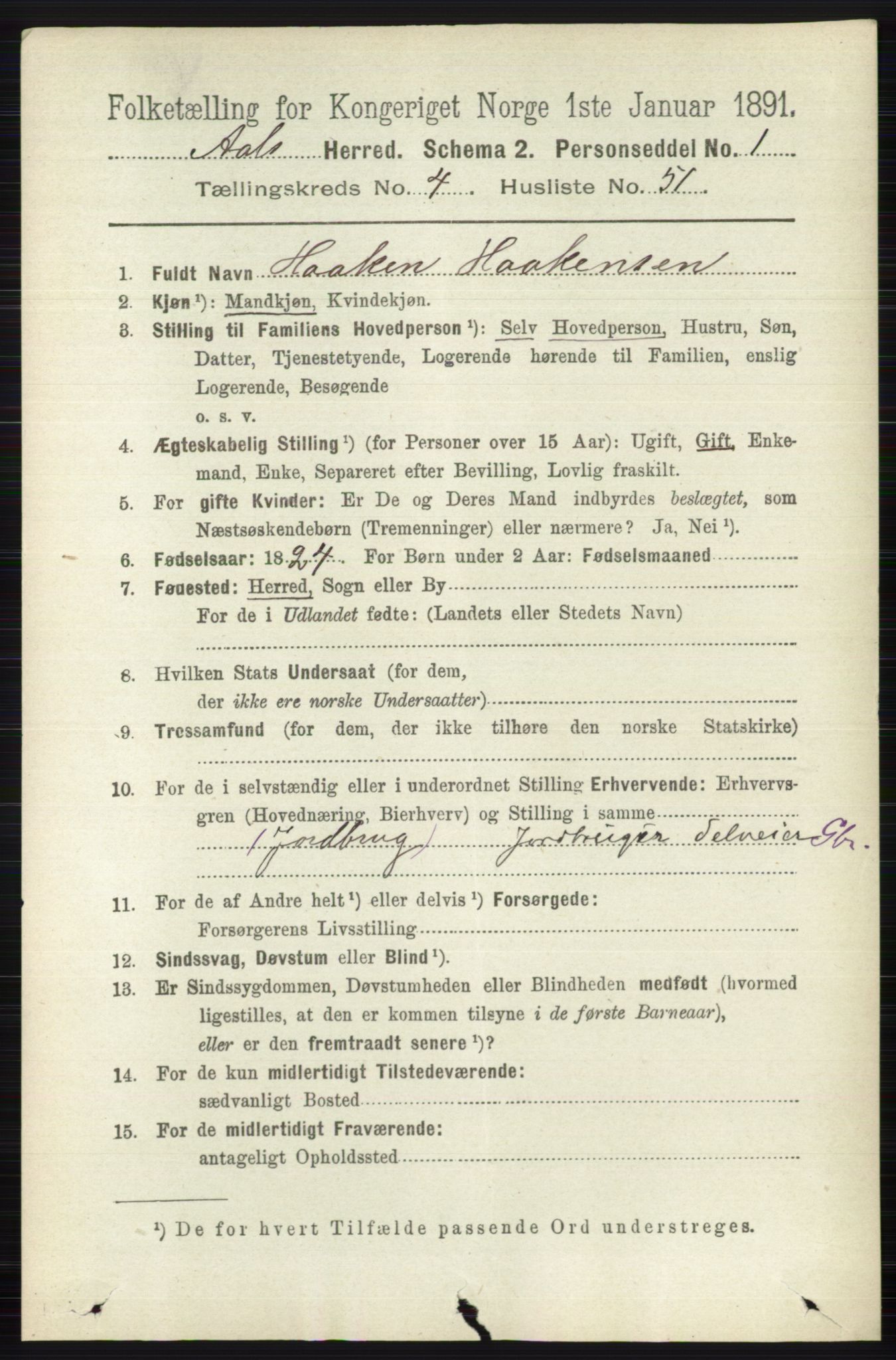 RA, 1891 census for 0619 Ål, 1891, p. 1331