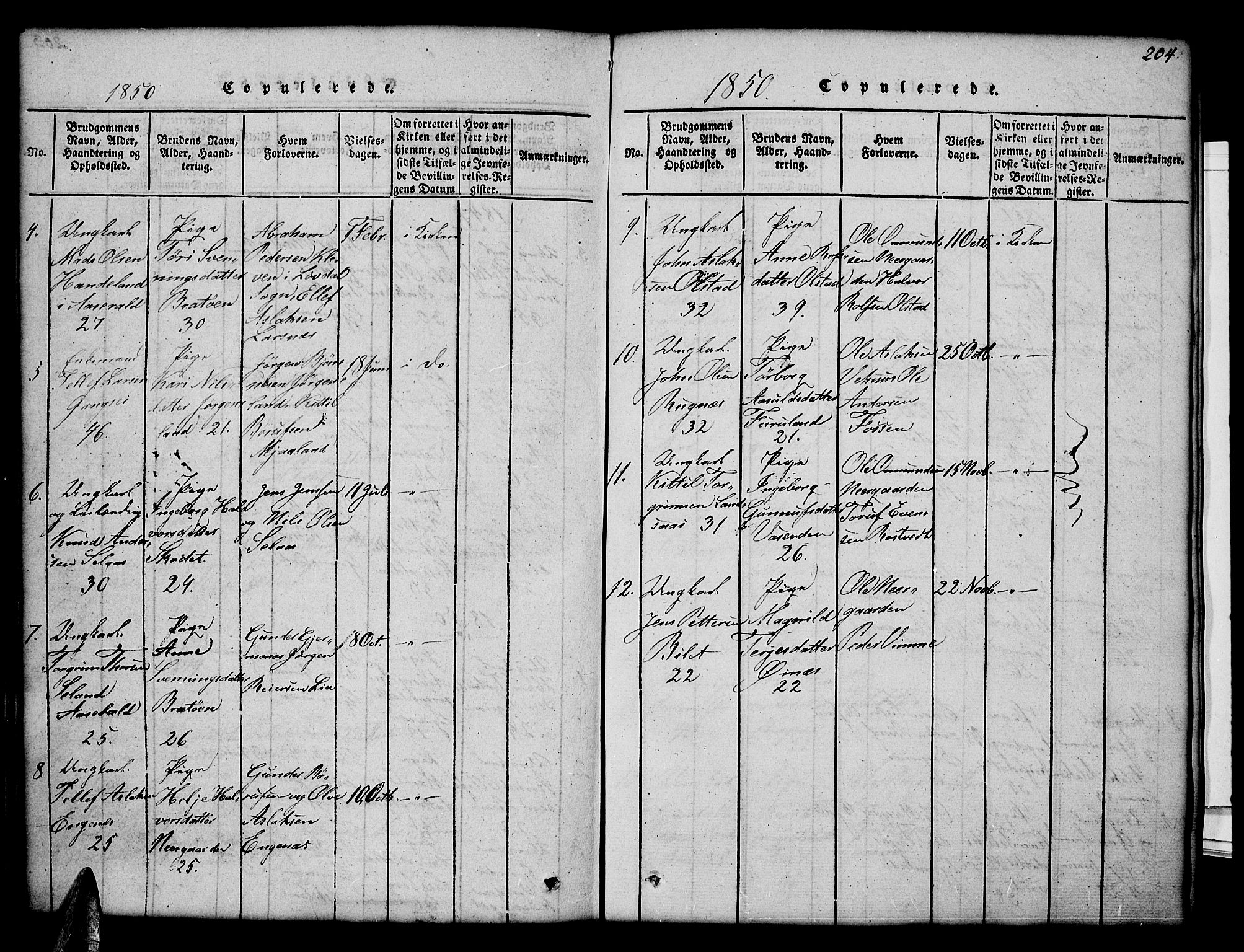 Åmli sokneprestkontor, AV/SAK-1111-0050/F/Fb/Fbc/L0001: Parish register (copy) no. B 1, 1816-1867, p. 204