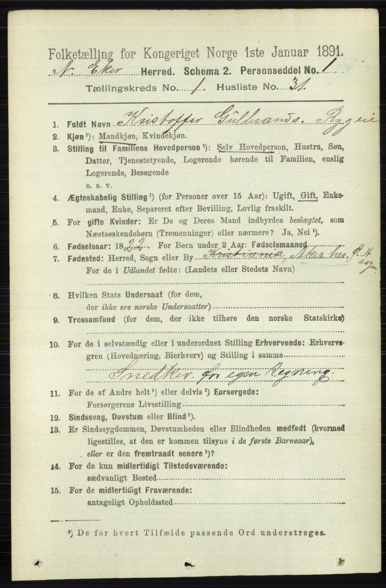 RA, 1891 census for 0625 Nedre Eiker, 1891, p. 247