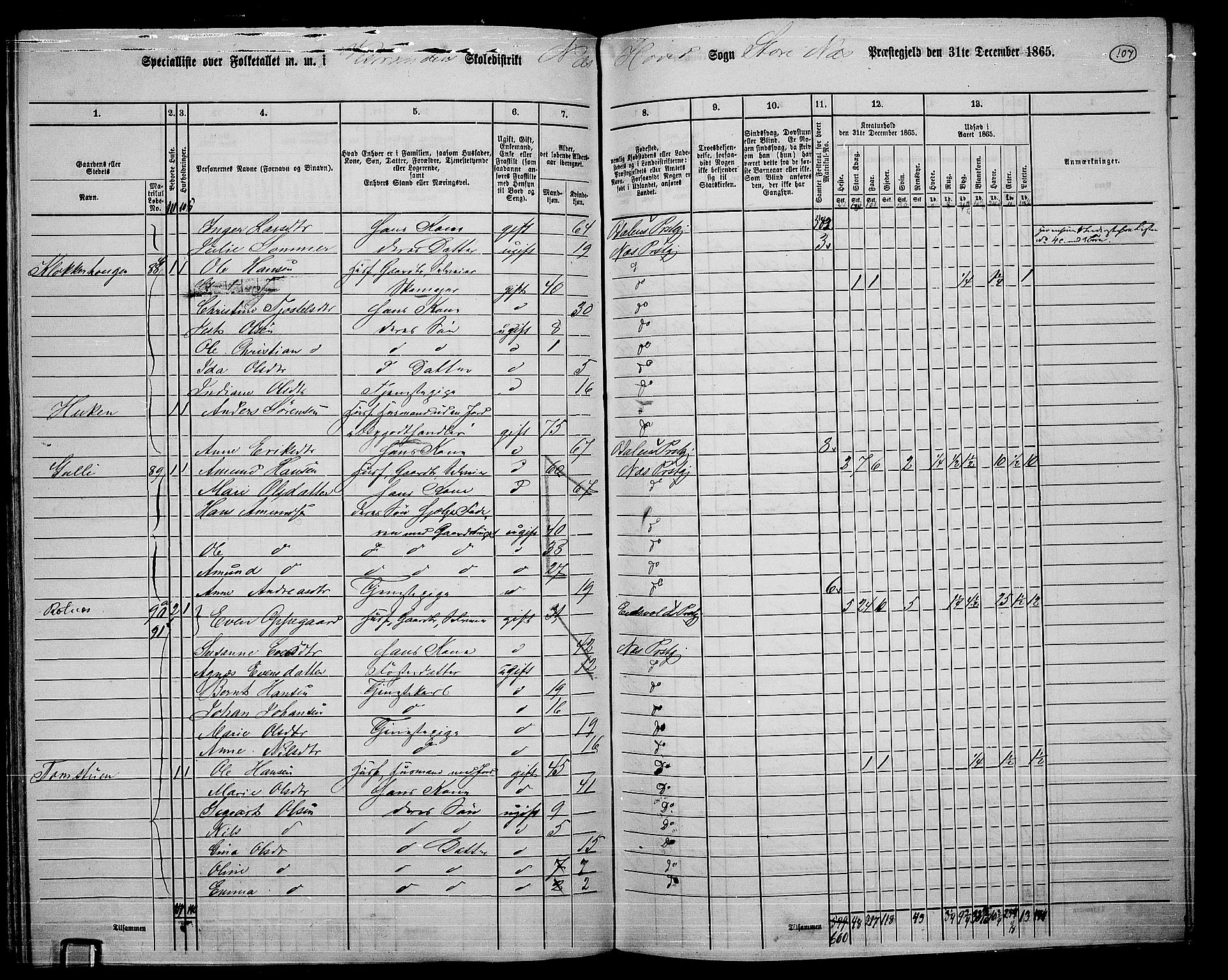 RA, 1865 census for Nes, 1865, p. 99