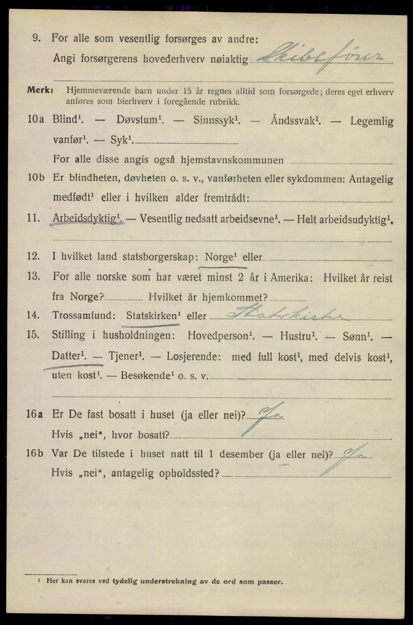 SAKO, 1920 census for Kragerø, 1920, p. 12990