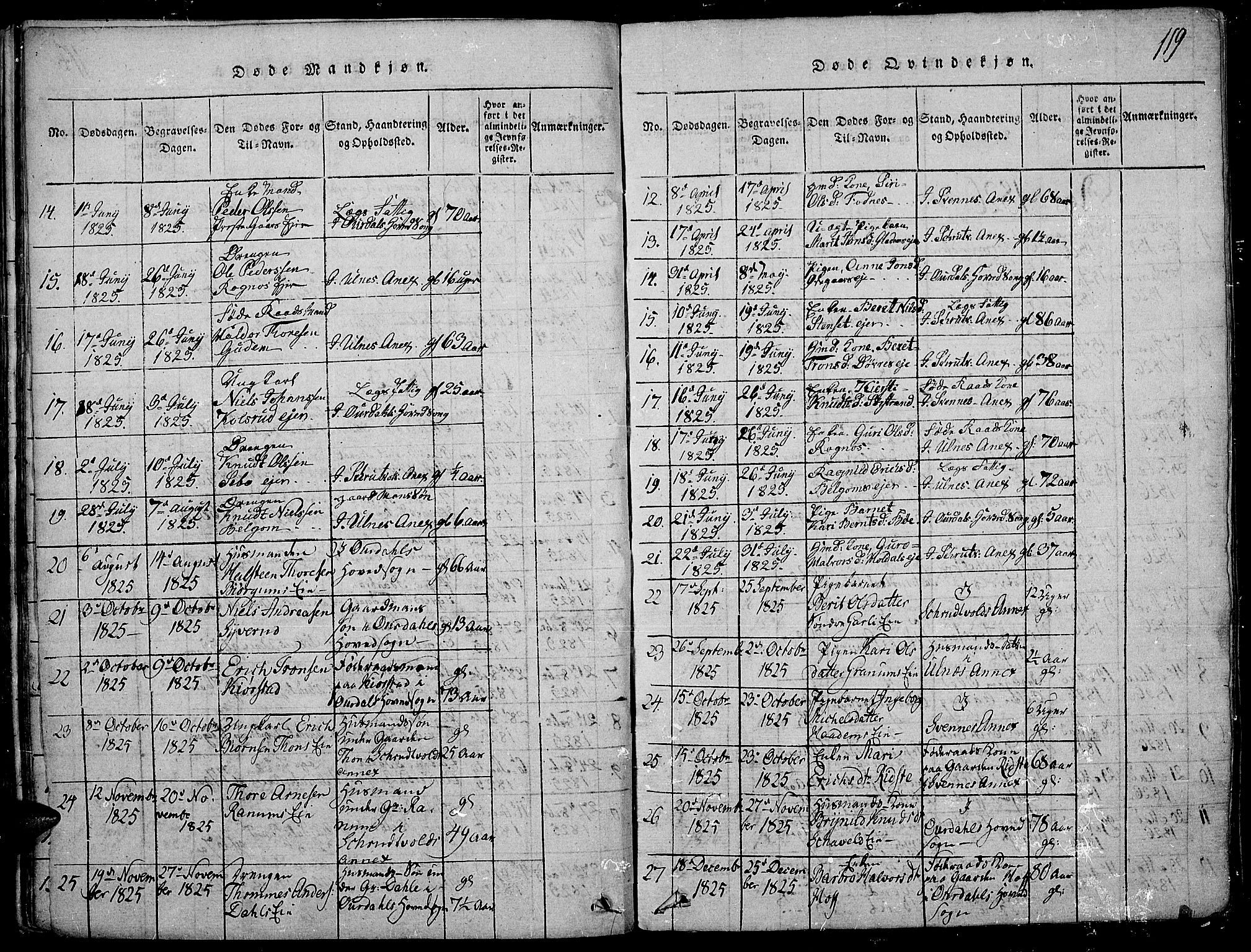 Nord-Aurdal prestekontor, SAH/PREST-132/H/Ha/Haa/L0002: Parish register (official) no. 2, 1816-1828, p. 119